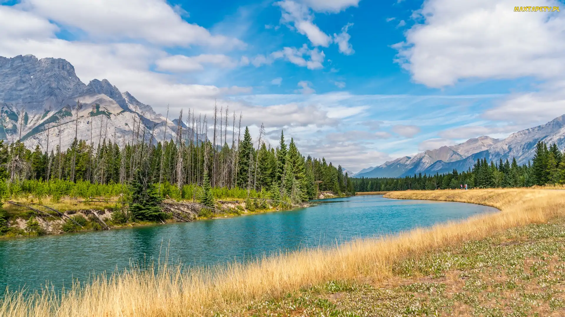 Alberta, Park Narodowy Banff, Rzeka, Kanada, Chmury, Góry, Las