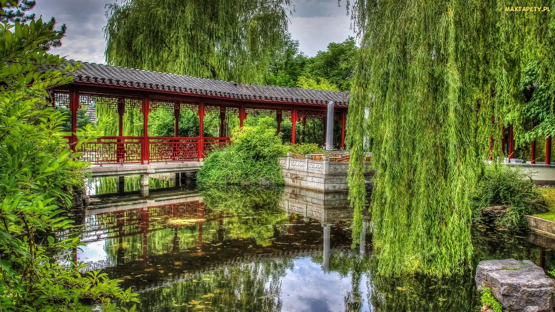 Park, Staw, Wierzby płaczące, Mostek, Drzewa, Zadaszony
