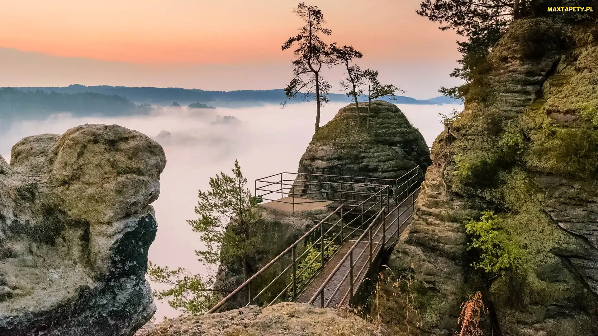 Park Narodowy Saskiej Szwajcarii, Drzewa, Skały, Niemcy, Pomost, Góry Połabskie, Mgła
