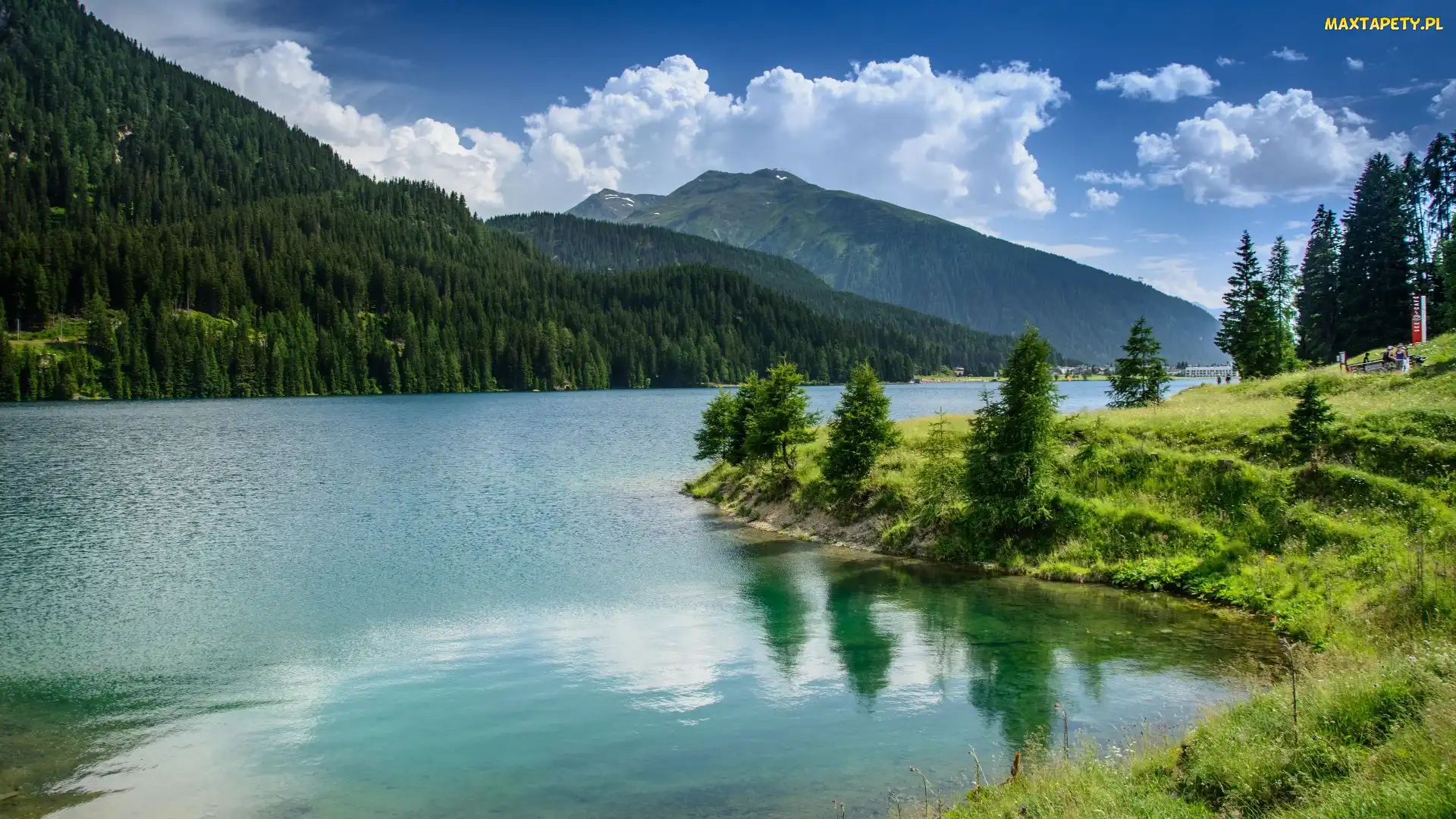 Trawa, Las, Chmury, Drzewa, Góry, Kanton Gryzonia, Alpy, Jezioro, Szwajcaria, Davos Lake