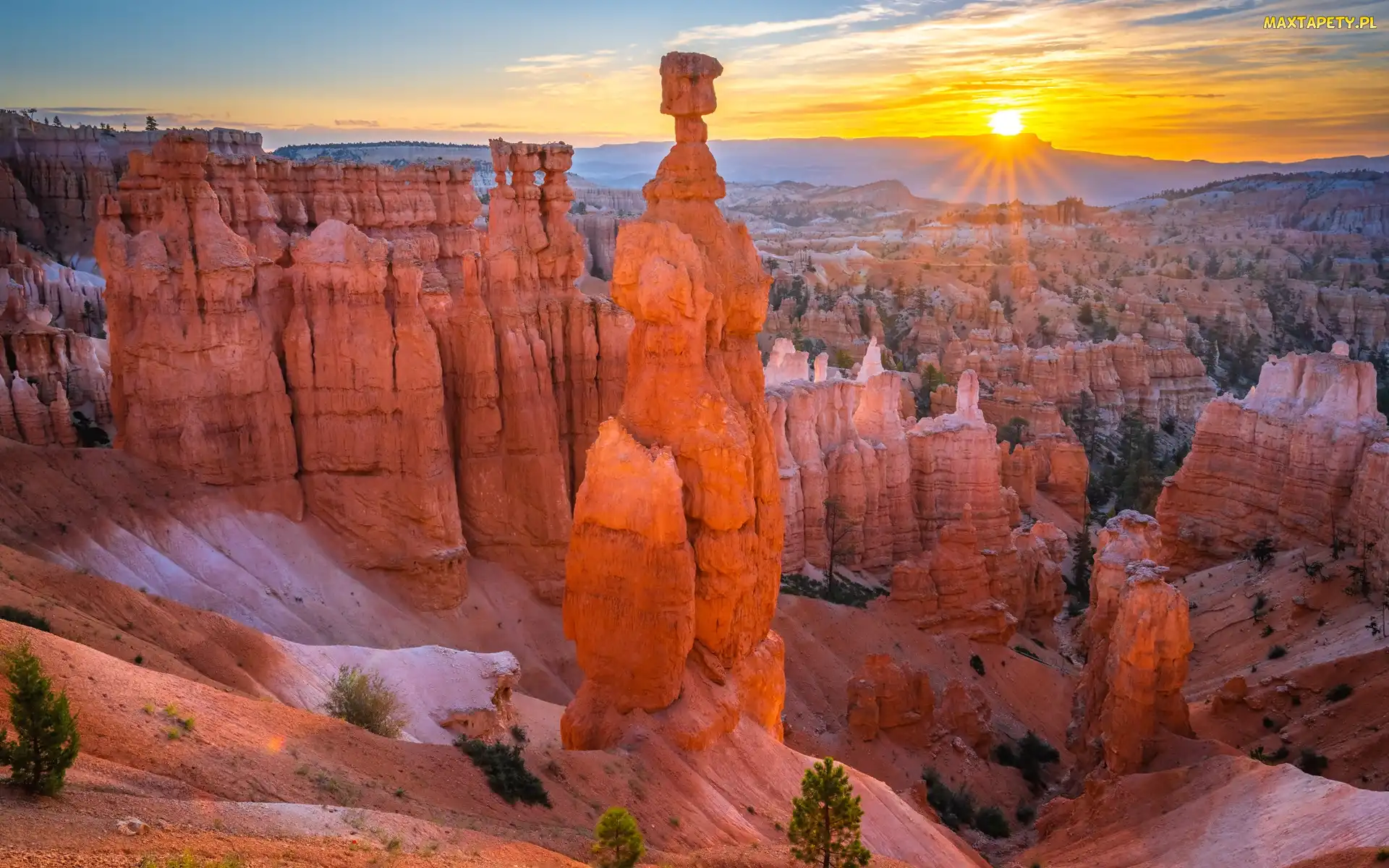 Roślinność, Skały, Stan Utah, Wschód słońca, Formacje skalne, Stany Zjednoczone, Park Narodowy Bryce Canyon