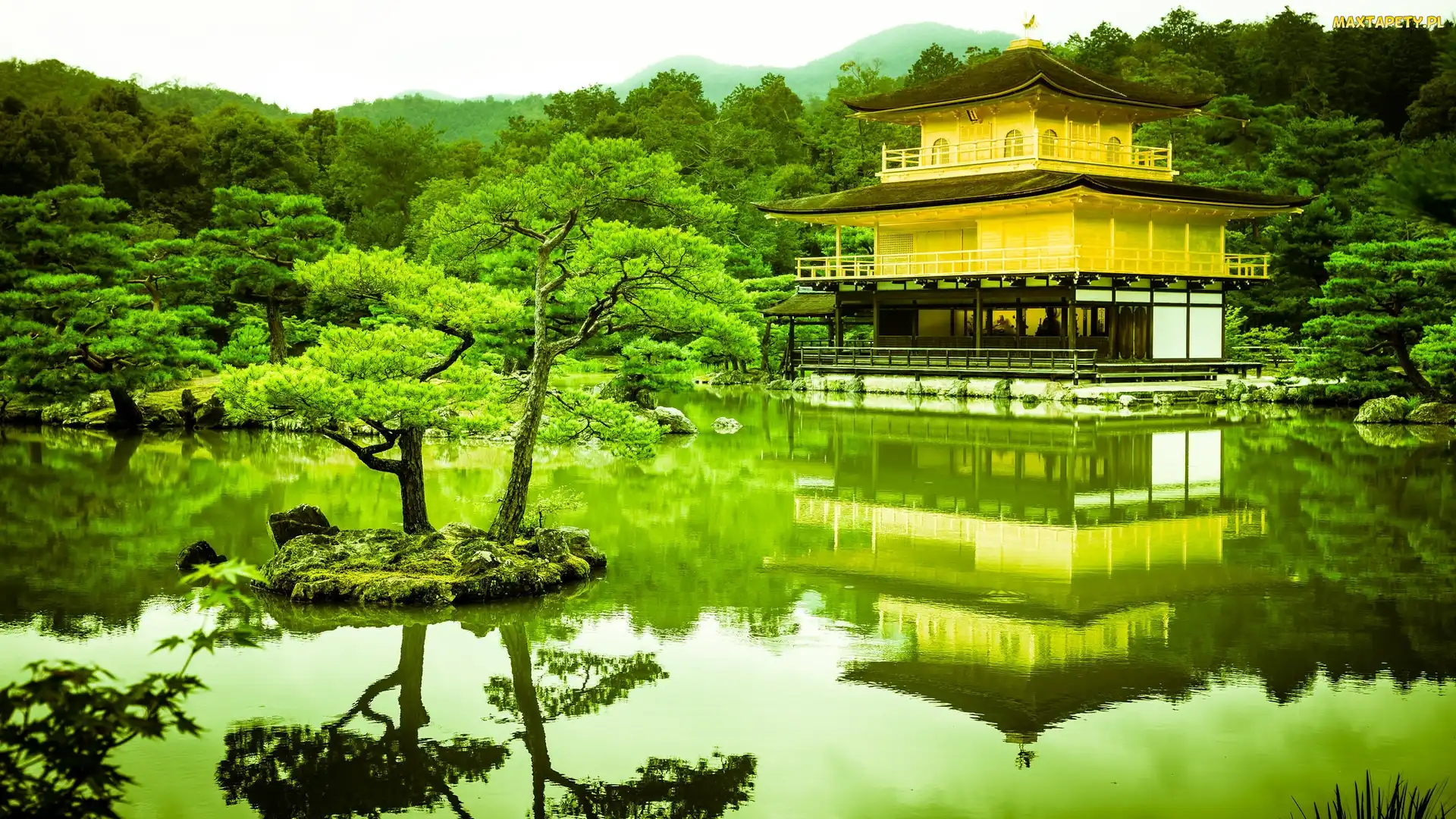 Kioto, Złoty Pawilon, Staw, Japonia, Świątynia Kinkaku-ji, Park, Drzewa
