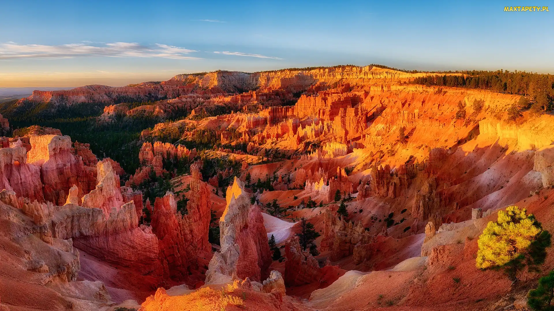Skały, Stany Zjednoczone, Stan Utah, Park Narodowy Bryce Canyon, Kanion