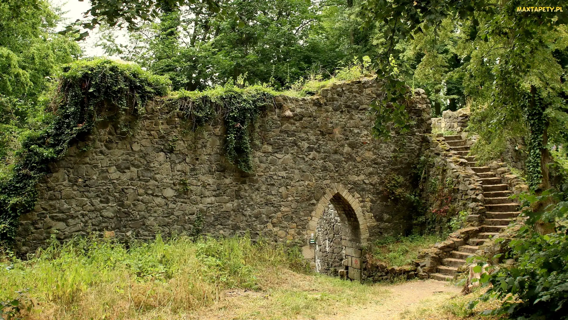 Schody, Mur, Ruiny, Kamienny, Trawa, Wejście, Krzewy, Pnącza