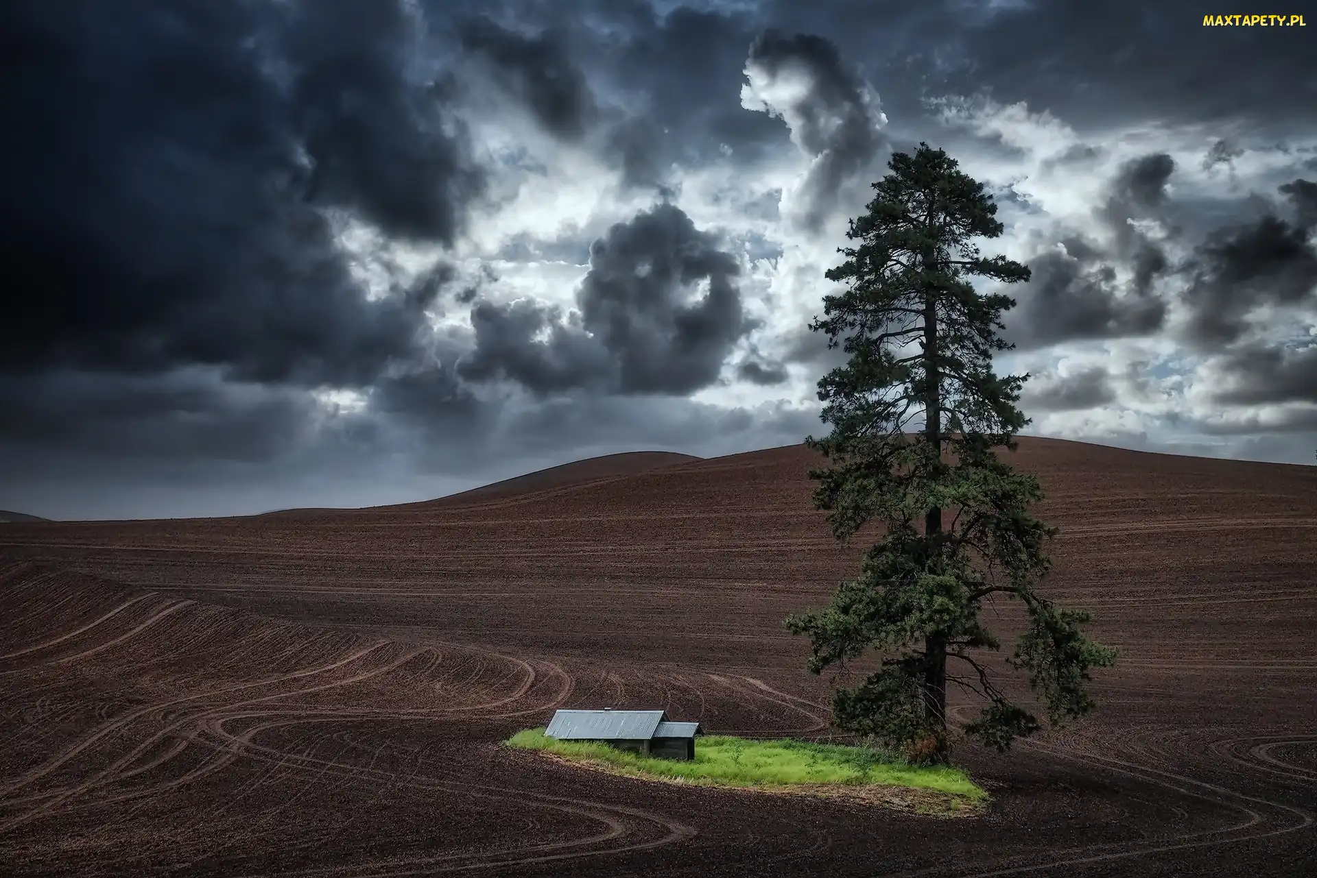 Stany Zjednoczone, Region Palouse, Budynek, Stan Waszyngton, Pola, Chmury, Ślady, Drzewo, Ciemne, Sosna
