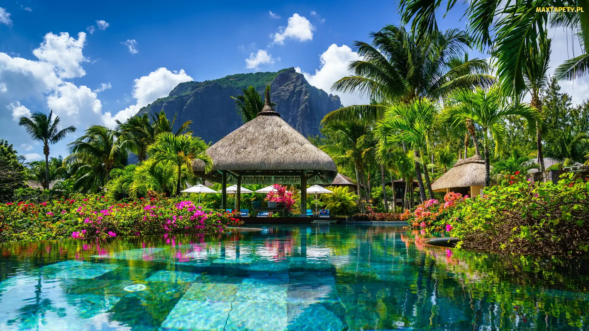 Krzewy, Góra, Hotel, Altana, Wakacje, Mauritius, LUX Le Morne, Półwysep Le Morne, Okwiecone, Basen, Palmy