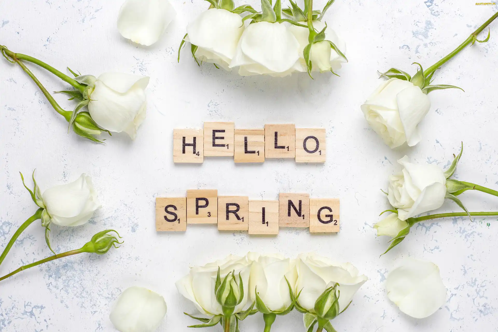 Kwiaty, Białe, Wiosna, Napis, Hello Spring, Róże