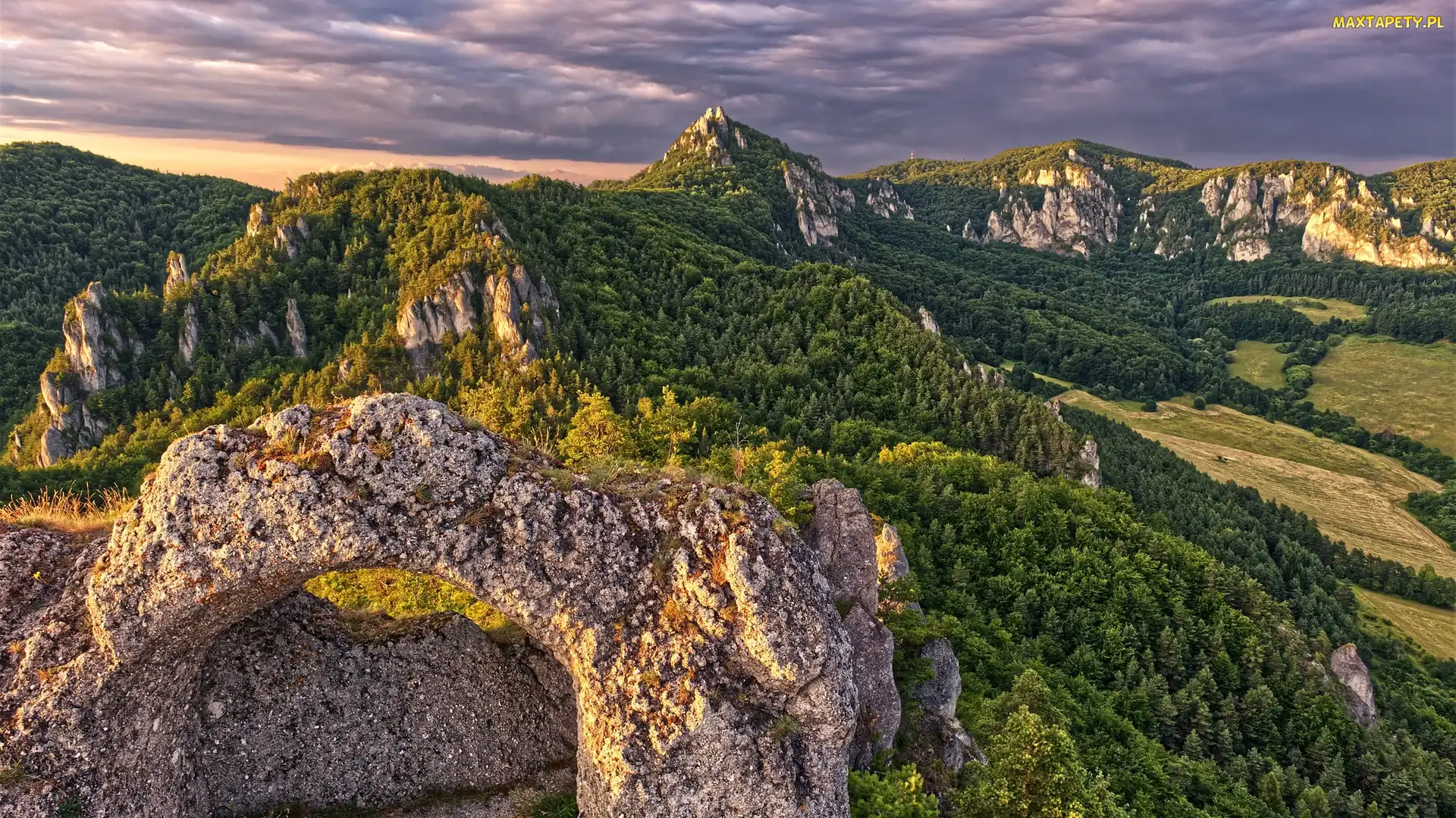 Drzewa, Ruiny, Skały, Góry, Słowacja, Castle Sulov, Zamek, Powiat Bytca, Lasy