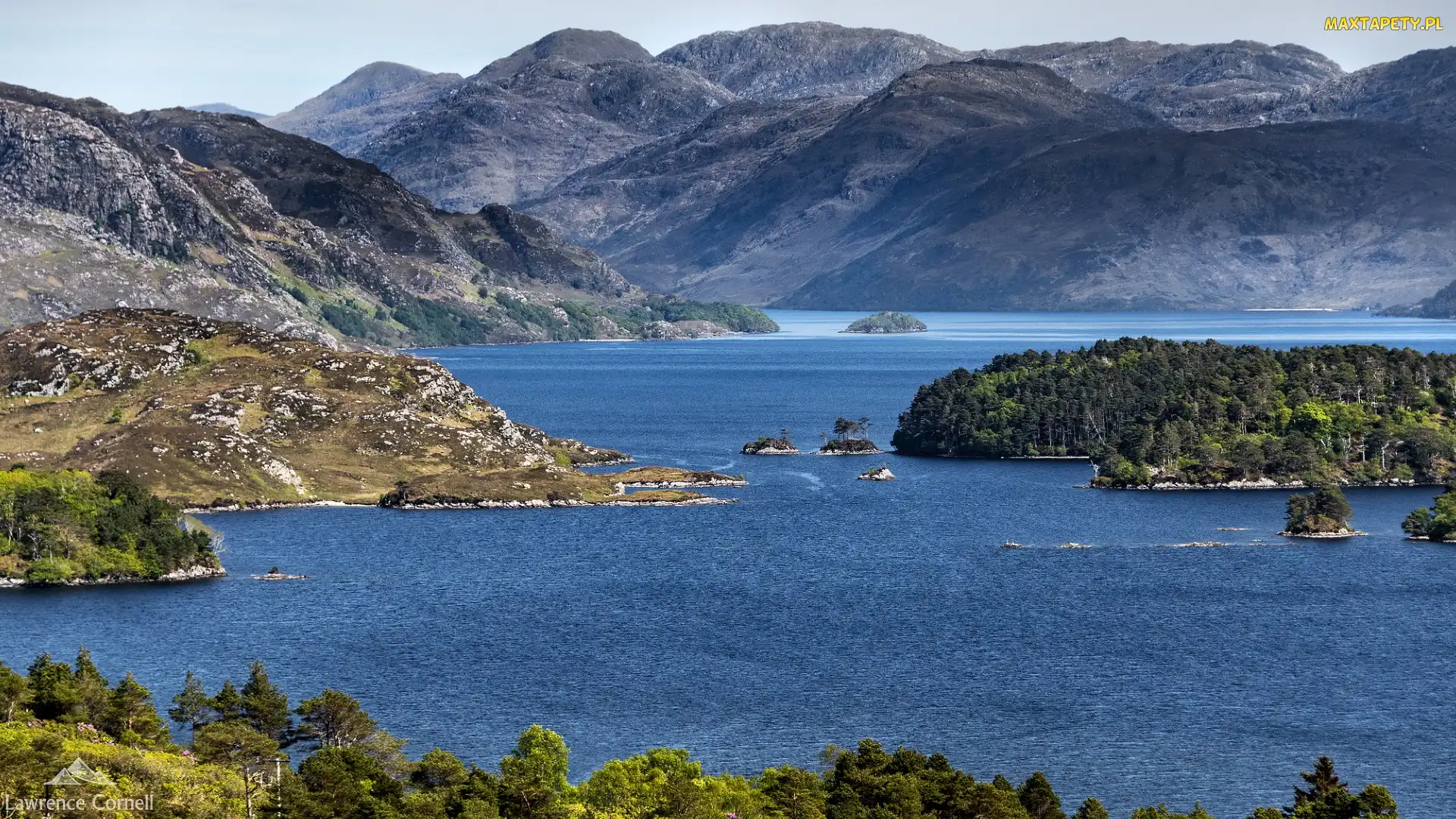 Hrabstwo Highland, Drzewa, Loch Morar, Szkocja, Wysepki, Jezioro, Góry