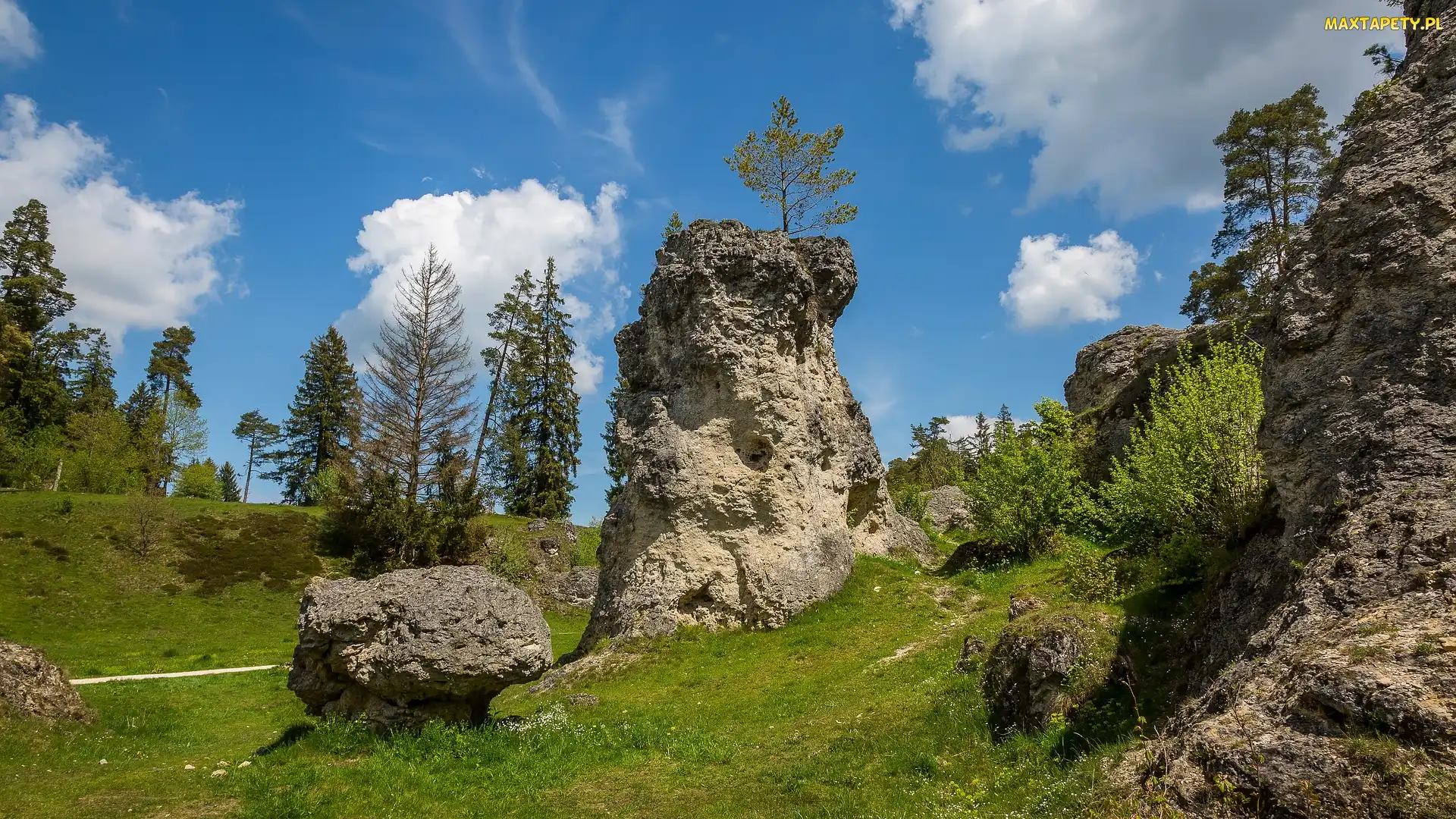 Drzewa, Kamienie, Skały, Niemcy, Wen Valley, Dolina, Jura Szwabska, Trawa