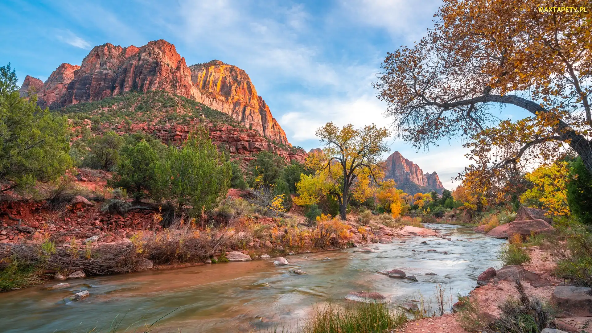 Góry Watchman, Virgin River, Park Narodowy Zion, Rzeka, Stan Utah, Drzewa, Stany Zjednoczone, Kamienie