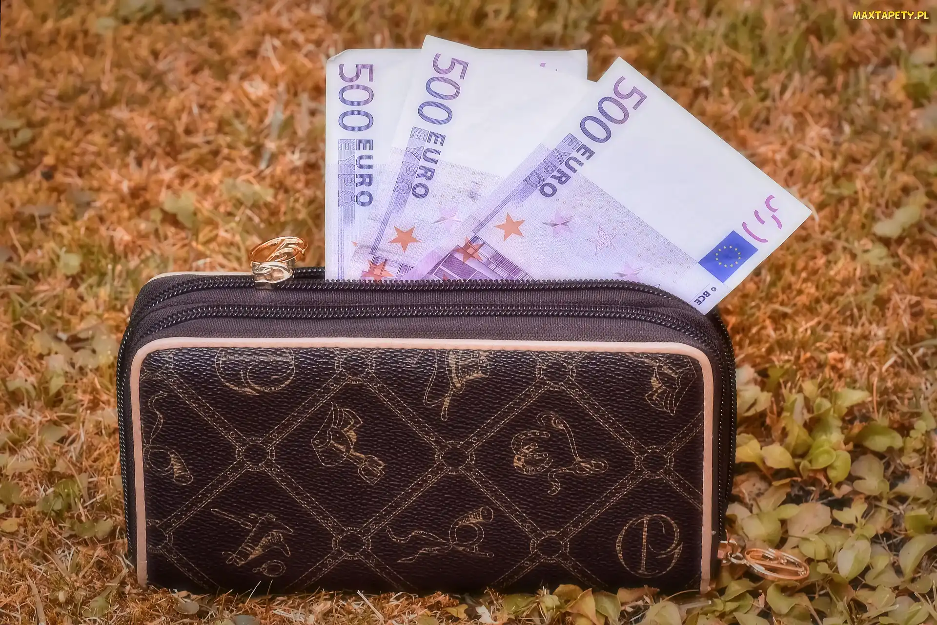 Euro, 500, Portmonetka, Banknoty
