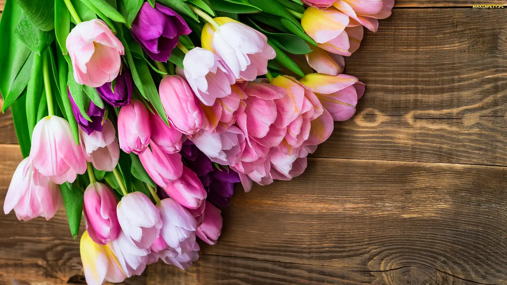 Tulipany, Drewno, Kolorowe