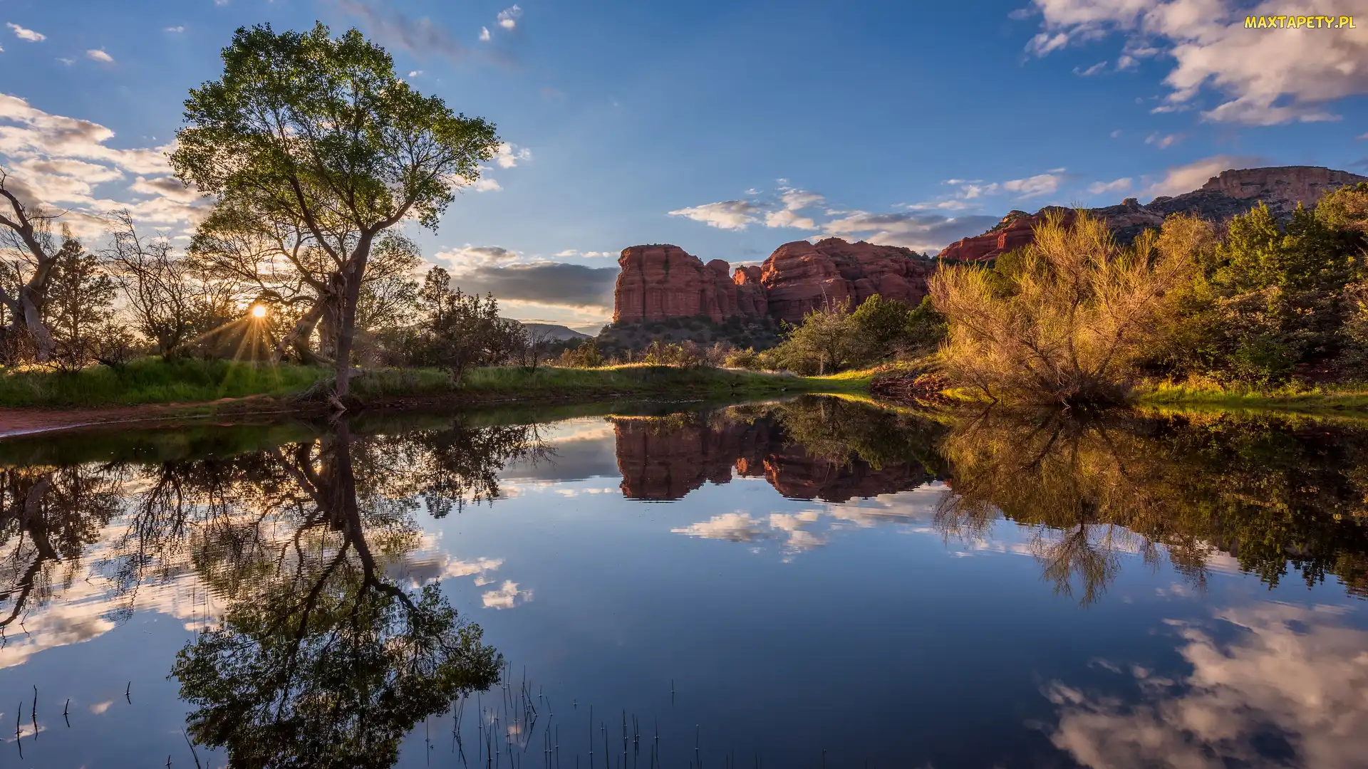 Drzewa, Odbicie, Jezioro, Skały, Arizona, Krzew, Stany Zjednoczone, Sedona