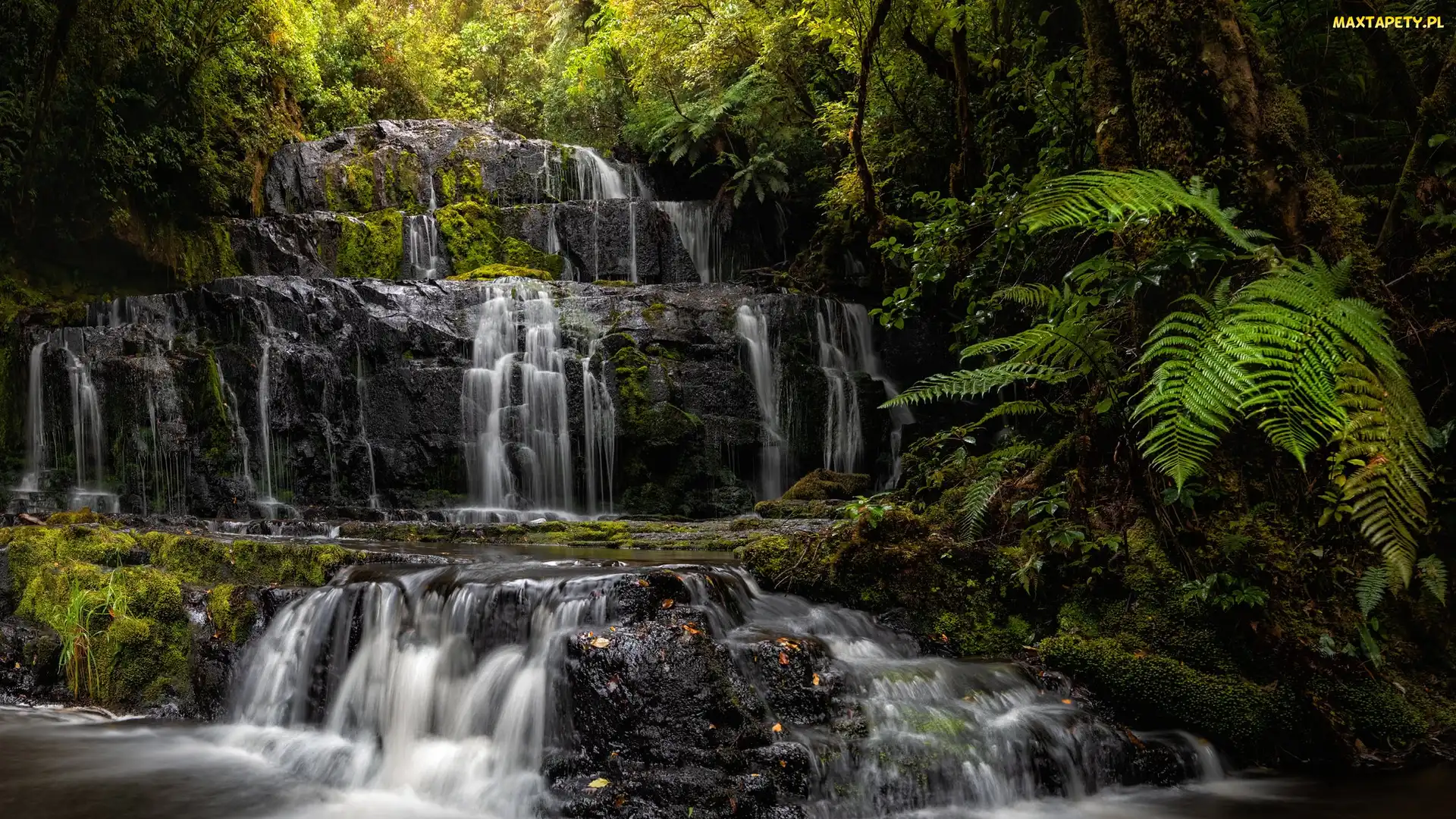 Kaskada, Catlins, Drzewa, Nowa Zelandia, Paprocie, Purakaunui Falls, Rzeka, Skały, Wodospad
