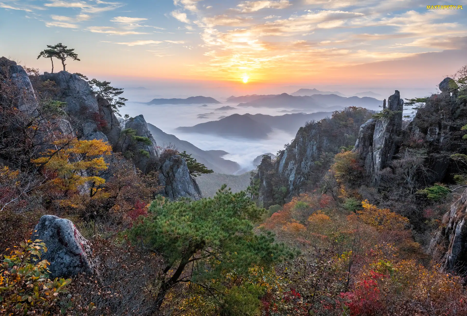 Drzewa, Mgła, Park Prowincjonalny Daedunsan, Skały, Jesień, Sosny, Korea Południowa, Wschód słońca