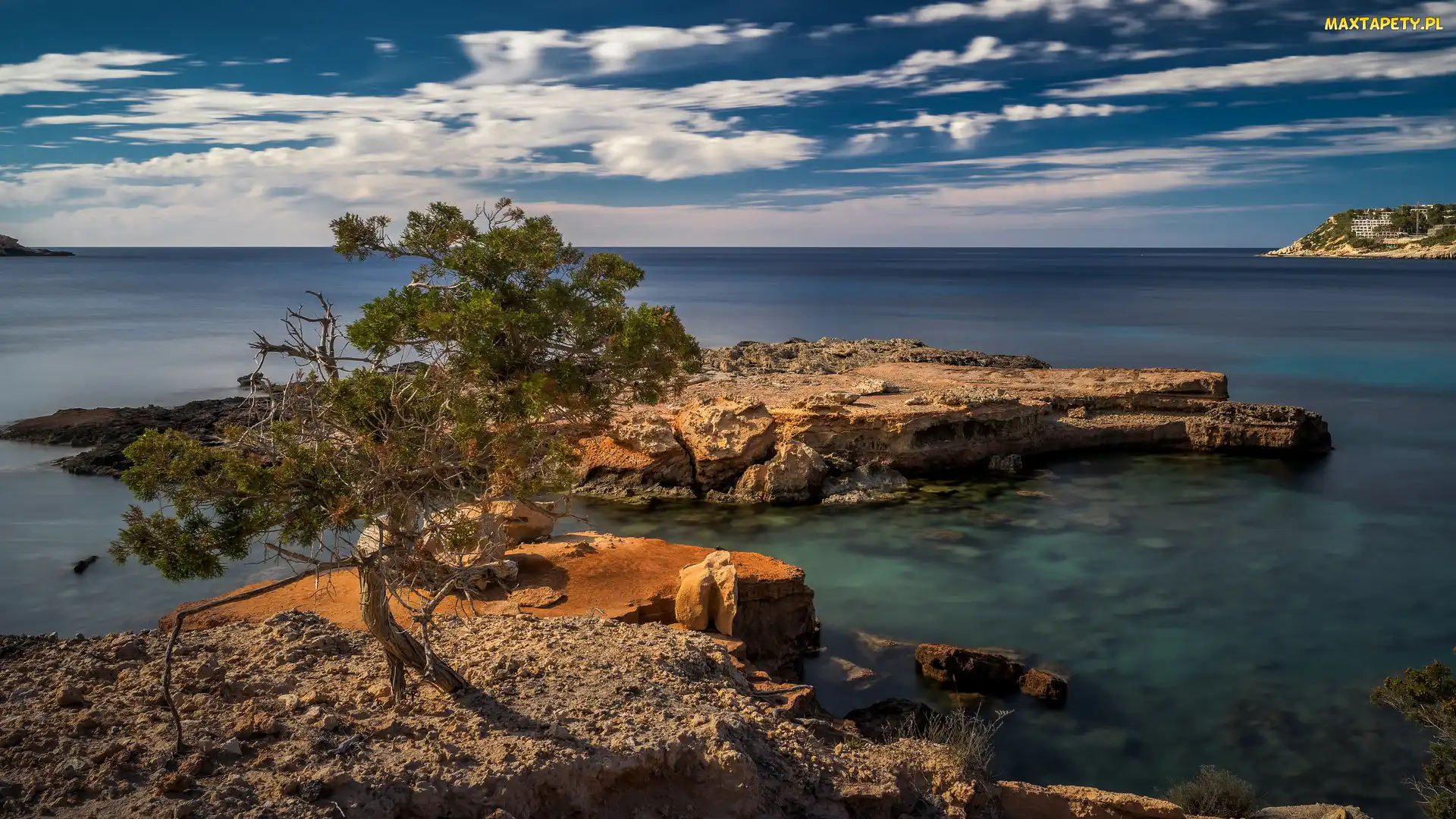 Ibiza, Drzewo, Plaża, Hiszpania, Morze, Skały, Sillot des Rencli