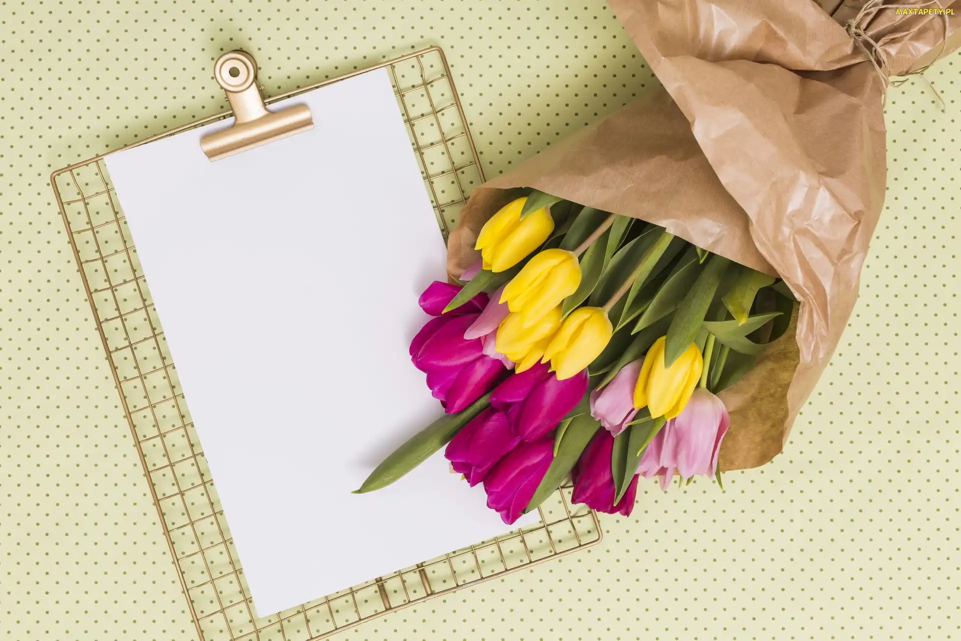 Kwiaty, Kartka, Tulipany, Papier, Kolorowe