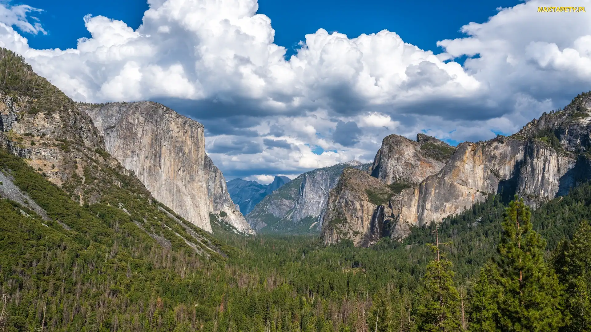 Park Narodowy Yosemite, Drzewa, Yosemite Valley, Dolina, Stany Zjednoczone, Chmury, Lasy, Stan Kalifornia, Góry