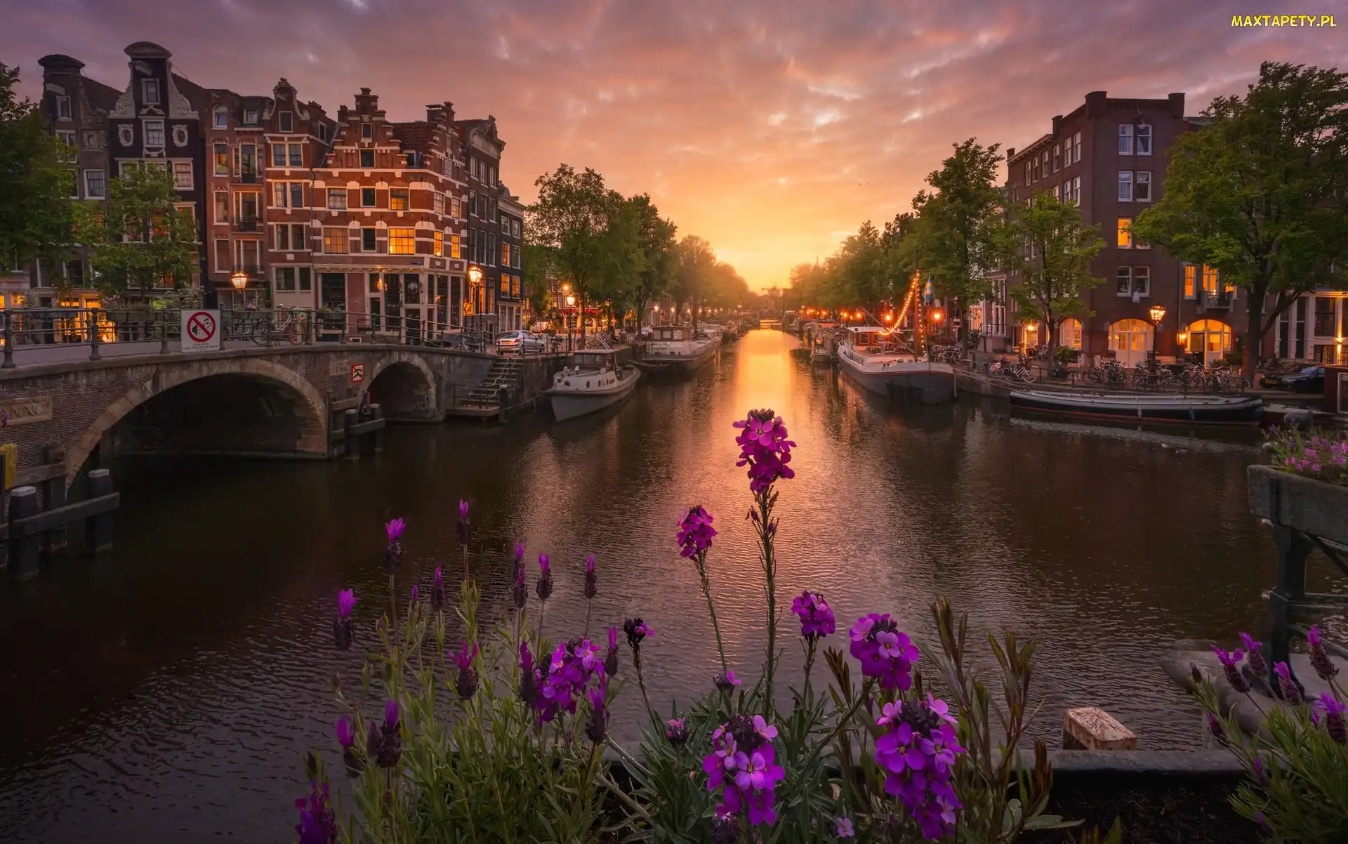 Kwiaty, Most, Amsterdam, Zachód słońca, Kanał, Holandia, Domy