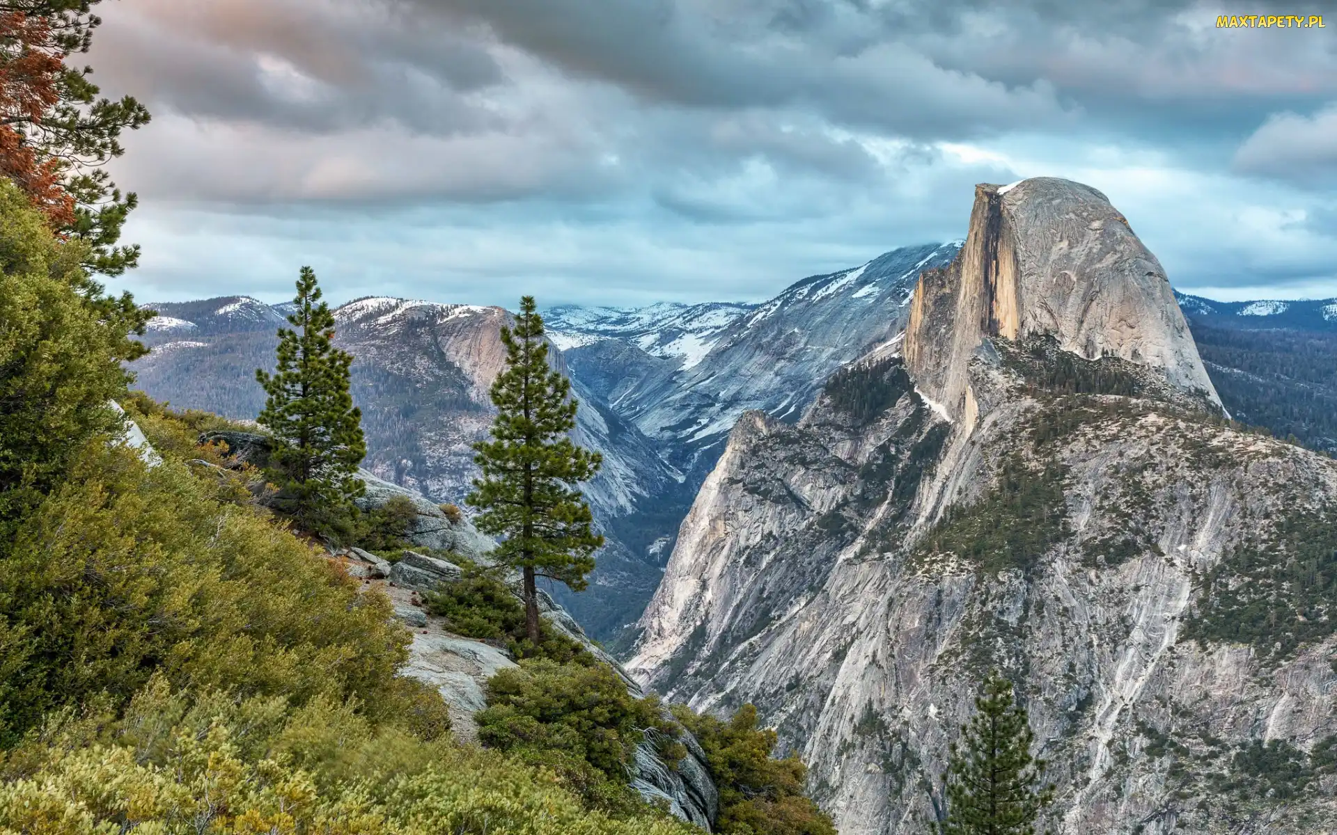 Drzewa, Szczyt Half Dome, Stan Kalifornia, Stany Zjednoczone, Park Narodowy Yosemite, Góry