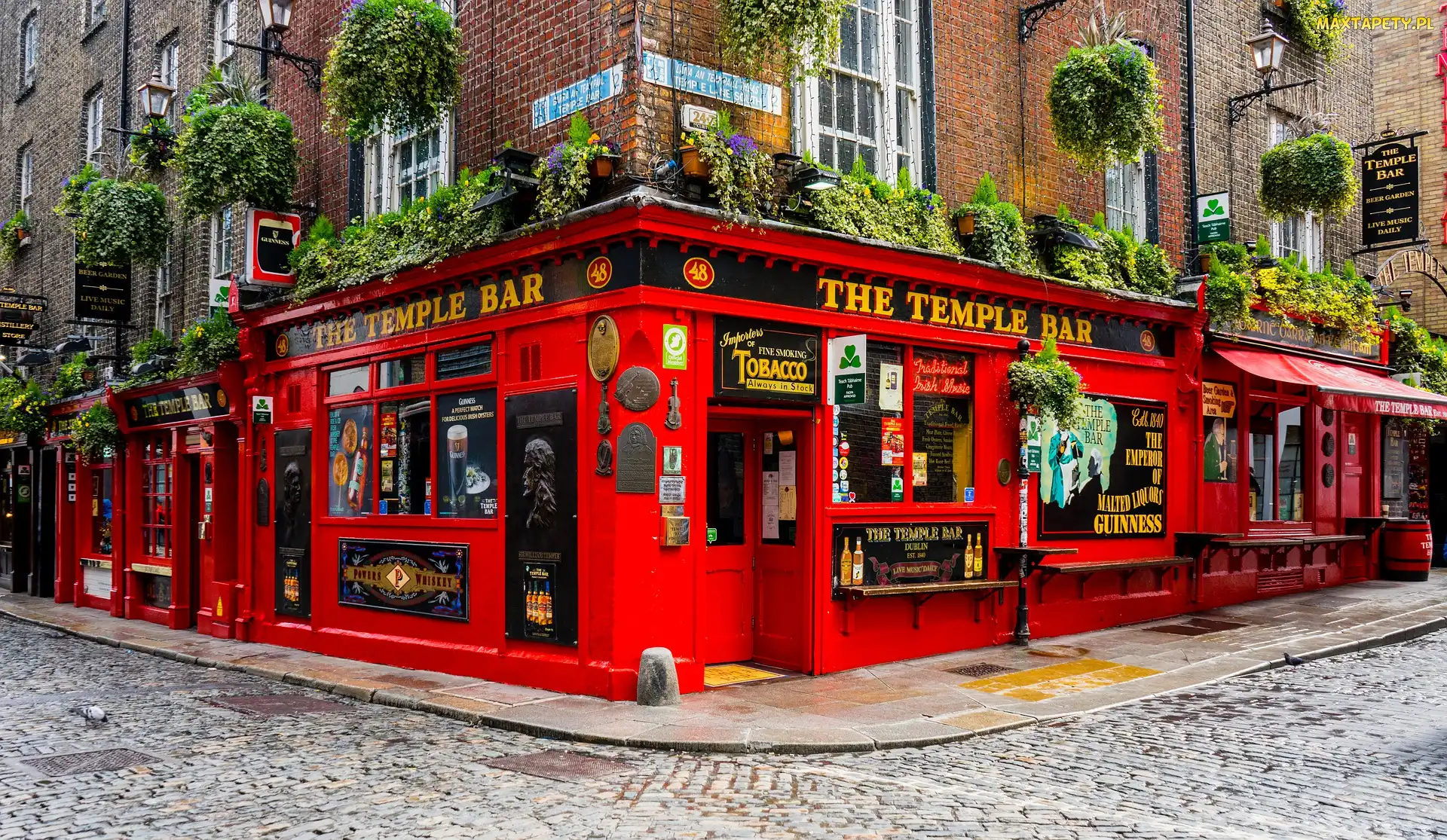 Irlandia, Dublin, Ulica, Czerwony, Dom, Bar