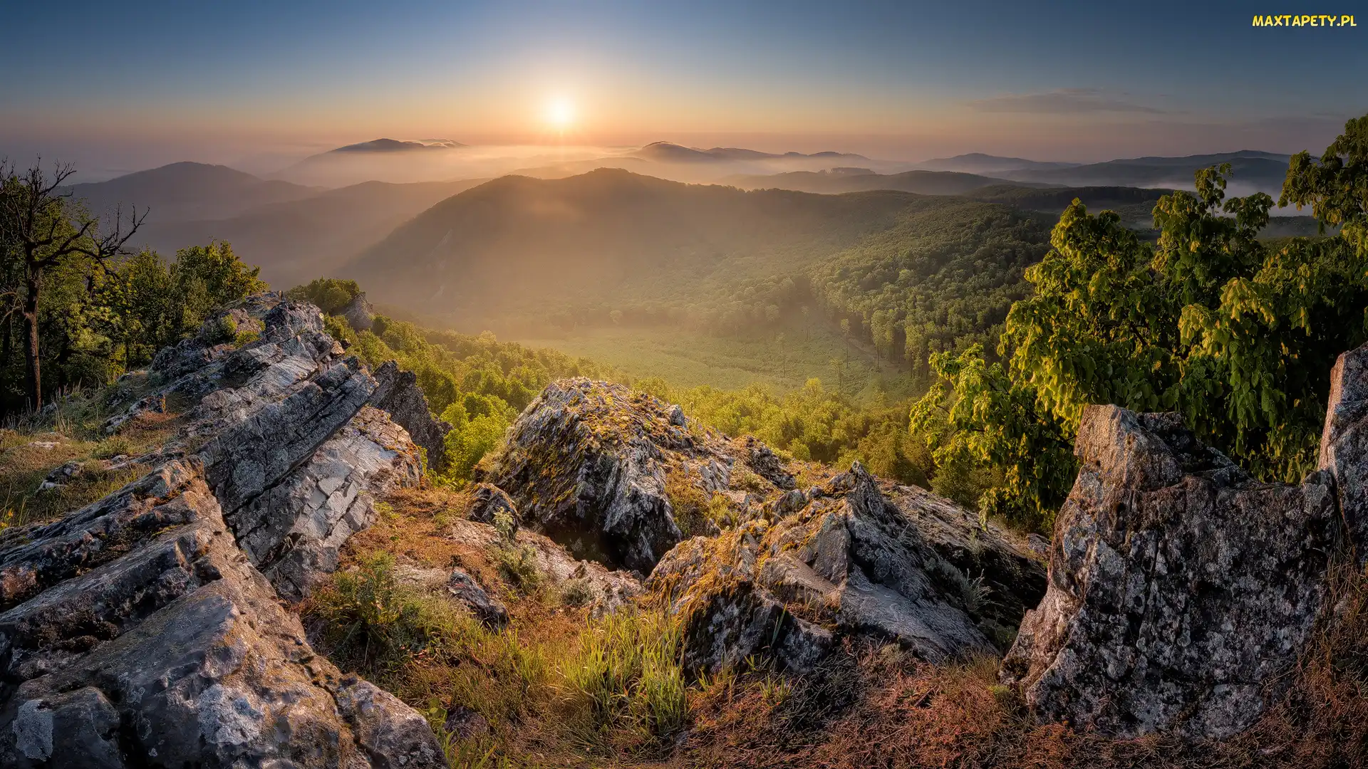 Drzewa, Mgła, Karpaty, Słowacja, Wschód słońca, Góry, Skały