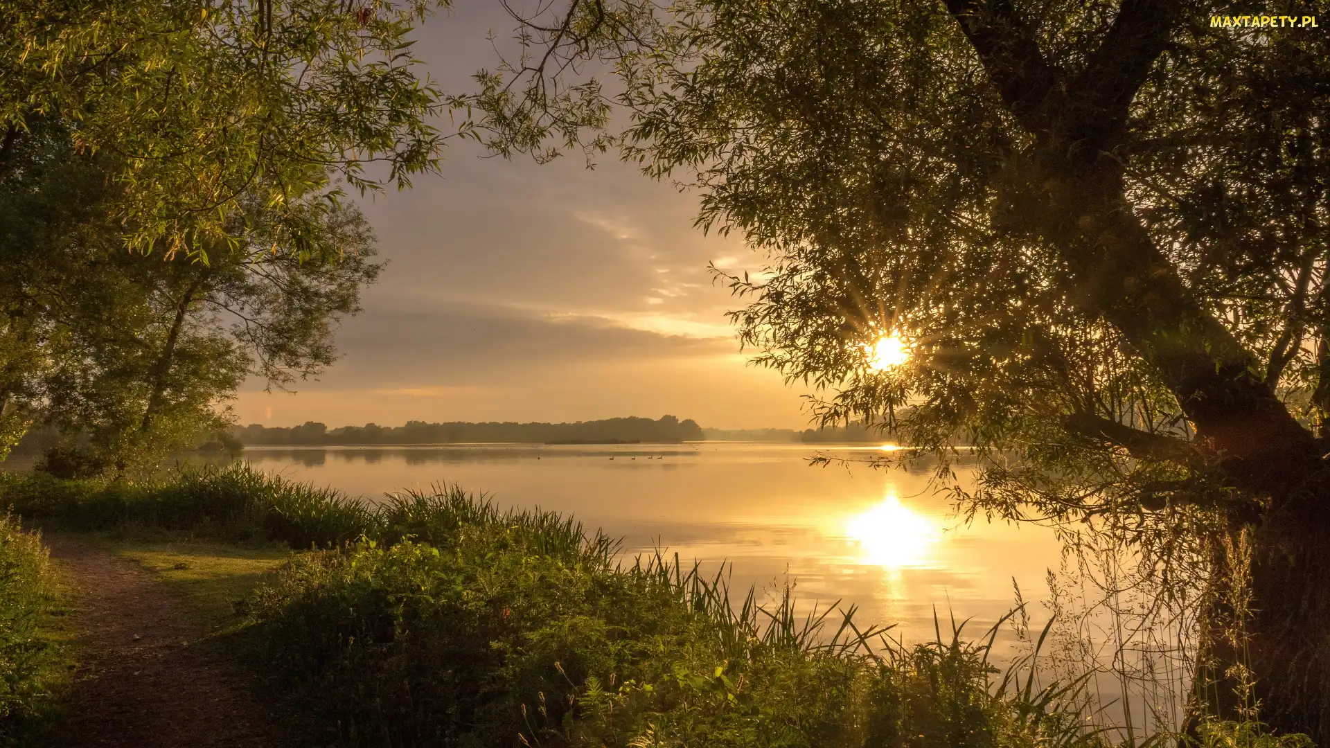 Jezioro, Wschód słońca, Brzeg, Ścieżka, Drzewa
