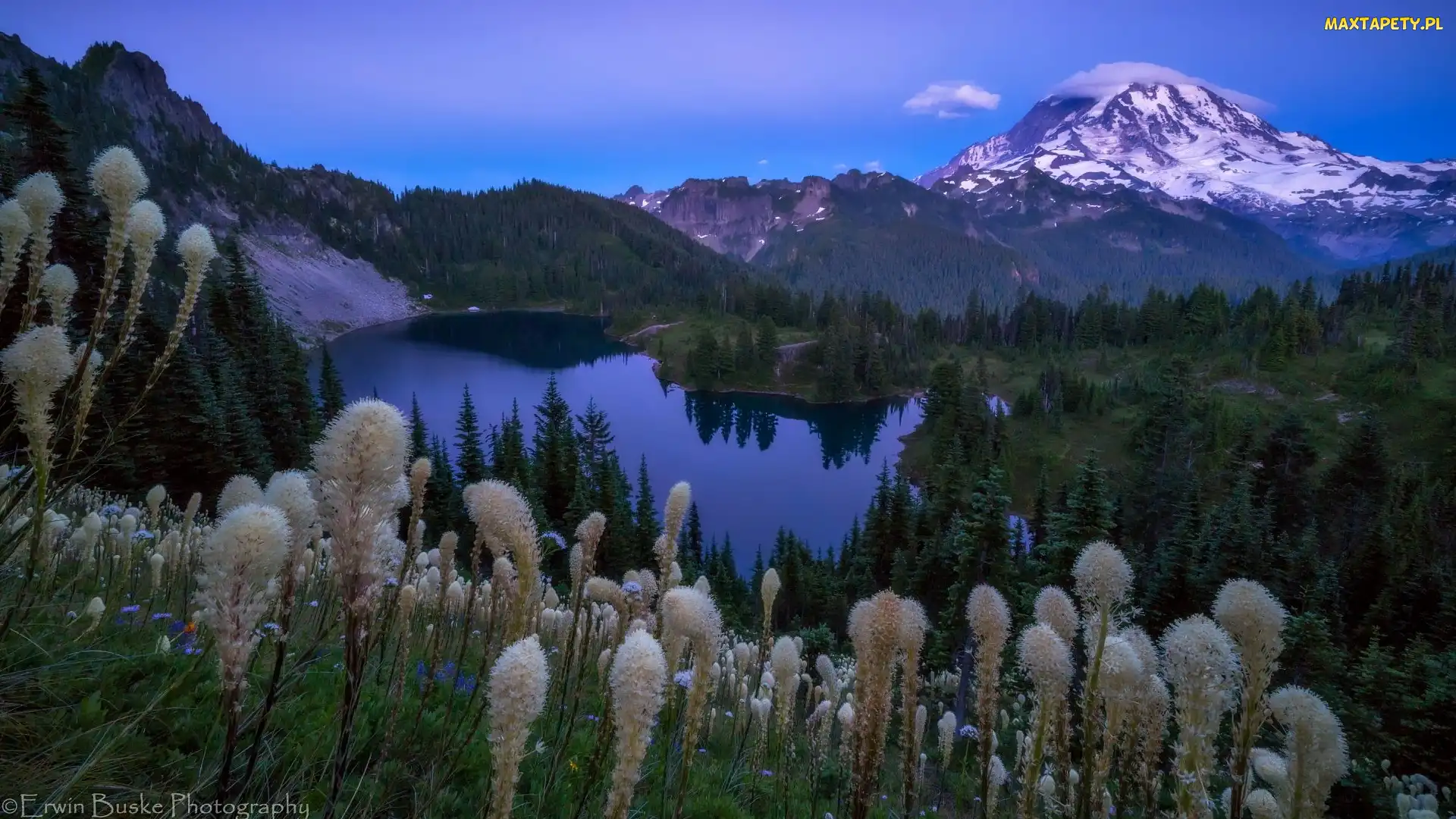 Jezioro, Zmierzch, Park Narodowy Mount Rainier, Stratowulkan Mount Rainier, Wieczór, Stany Zjednoczone, Rośliny, Stan Waszyngton, Drzewa, Miądrzyga, Góry