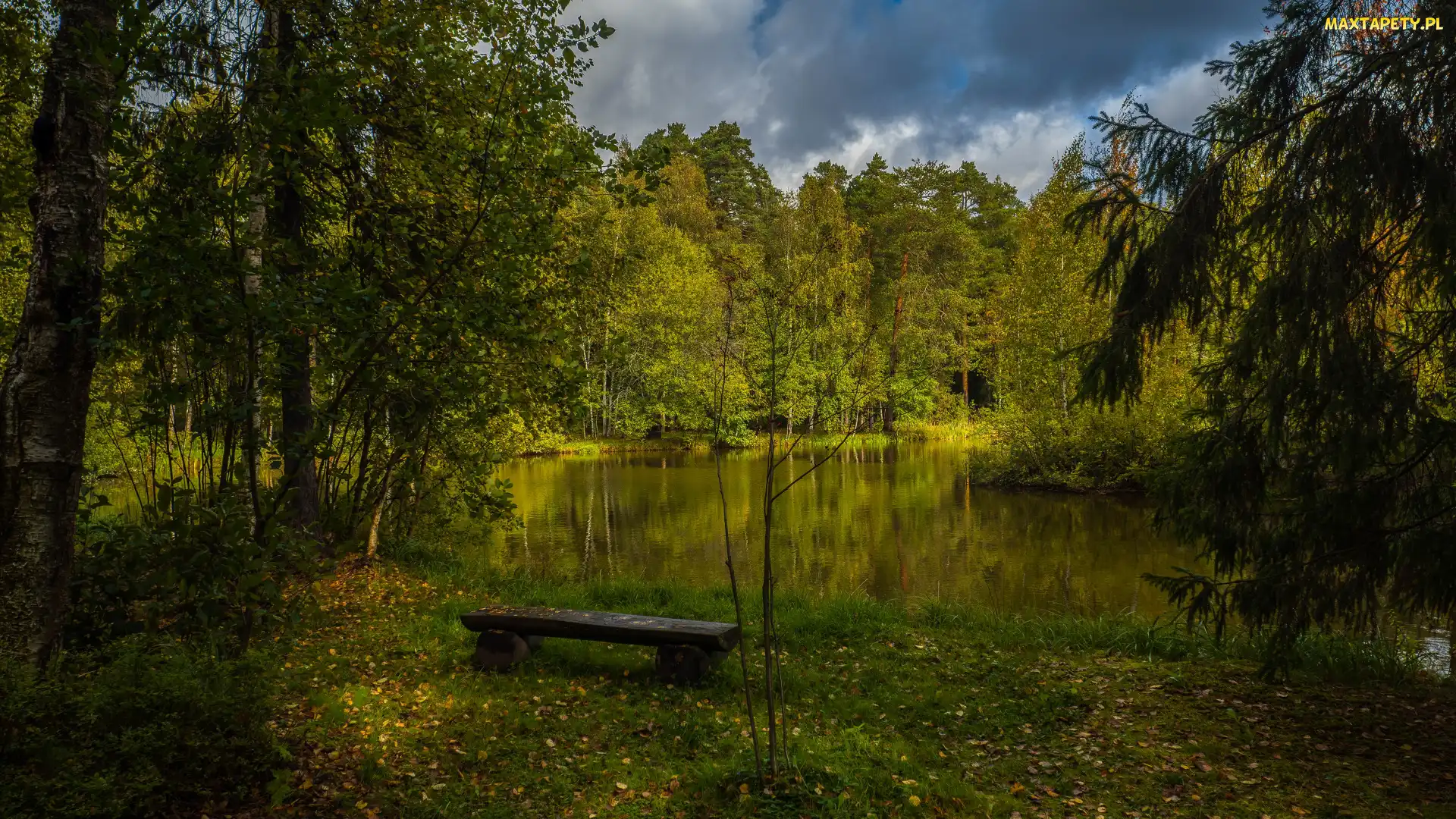Chmury, Drzewa, Staw, Ławka