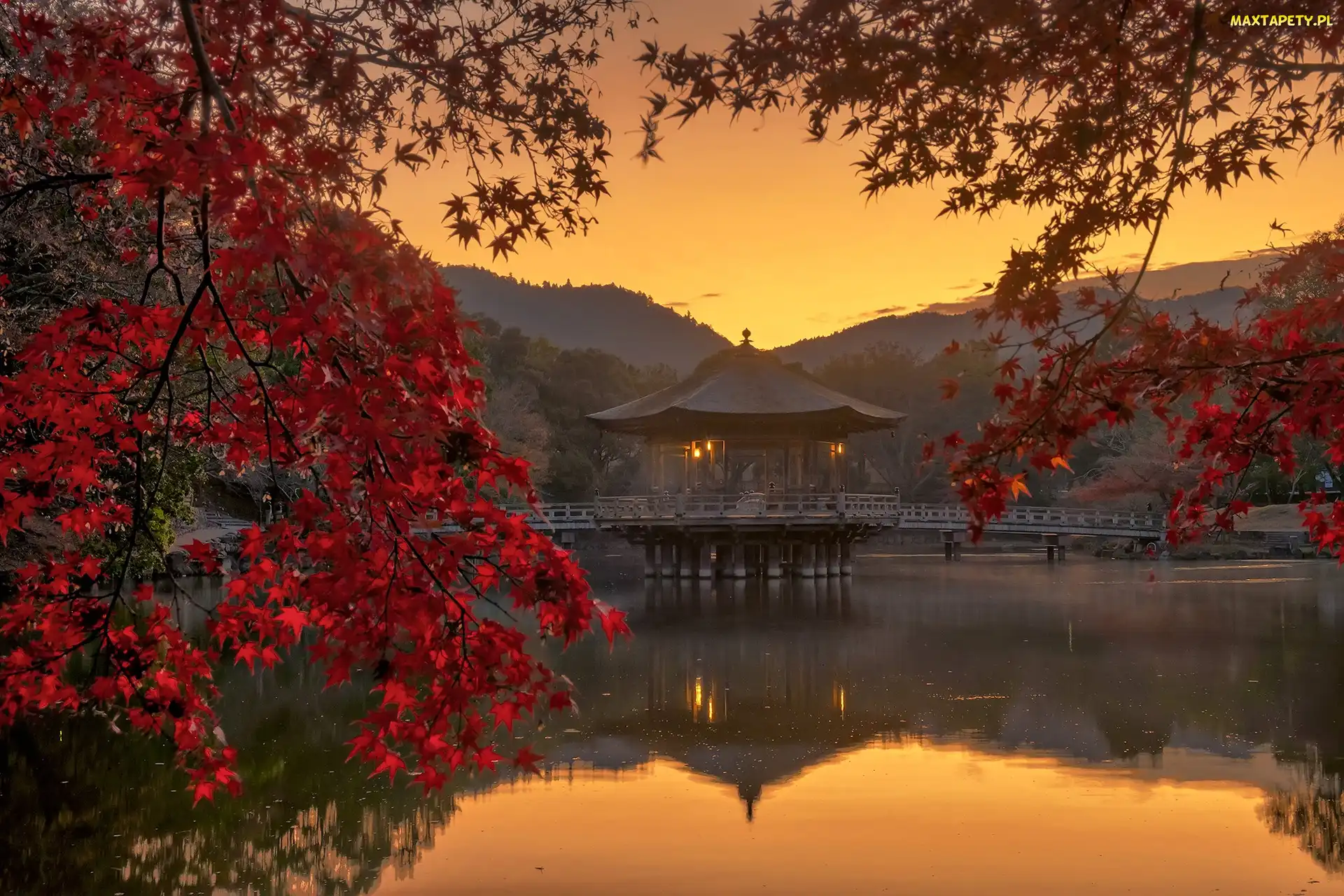 Pawilon Ukimido, Zachód słońca, Jesień, Most, Nara Park, Japonia, Staw, Nara, Altana, Sagiike, Gałęzie