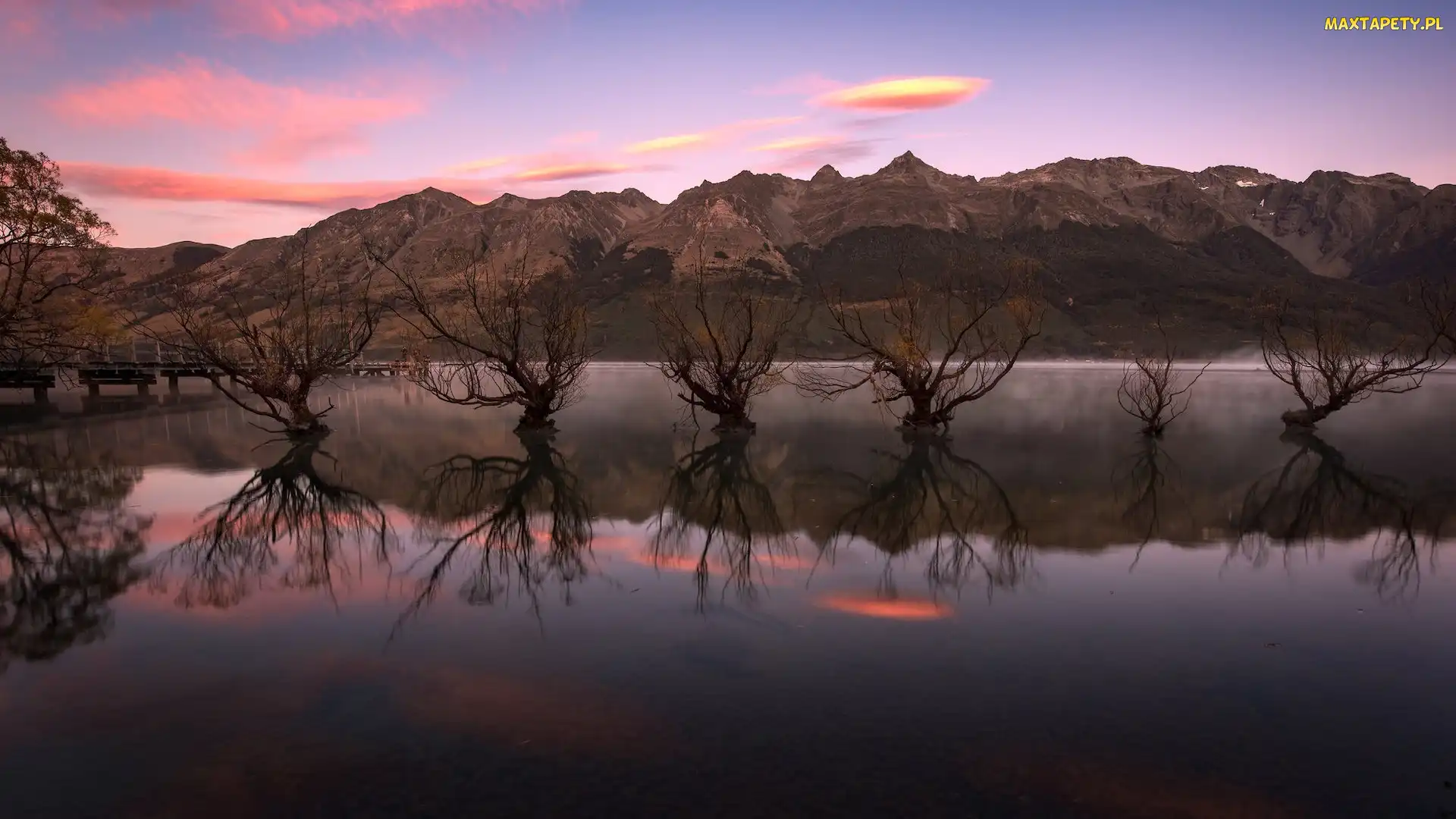 Wierzby, Drzewa, Nowa Zelandia, Jezioro, Wakatipu, Wschód słońca, Rząd, Queenstown, Odbicie, Glenorchy, Jesień