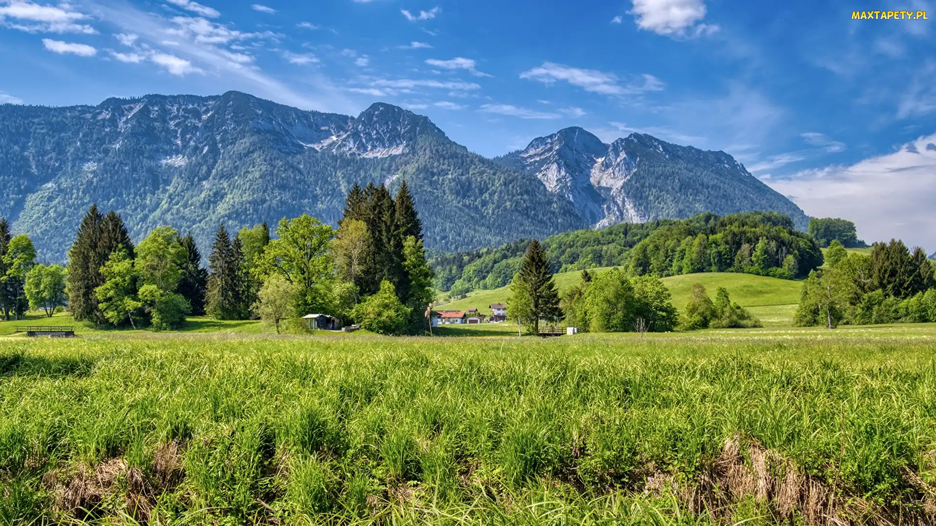 Bayerische Voralpen, Domy, Góry, Trawa, Bawaria, Drzewa, Niemcy, Inzell