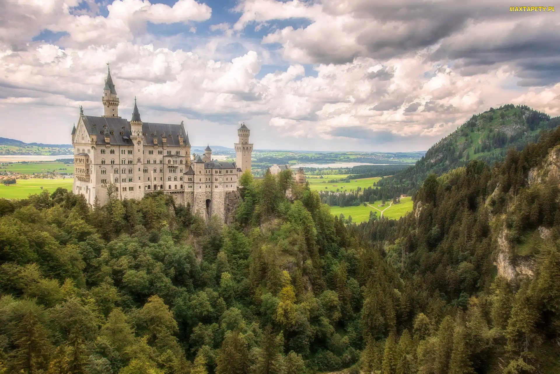 Niemcy, Bawaria, Góry, Zalesione, Zamek, Neuschwanstein
