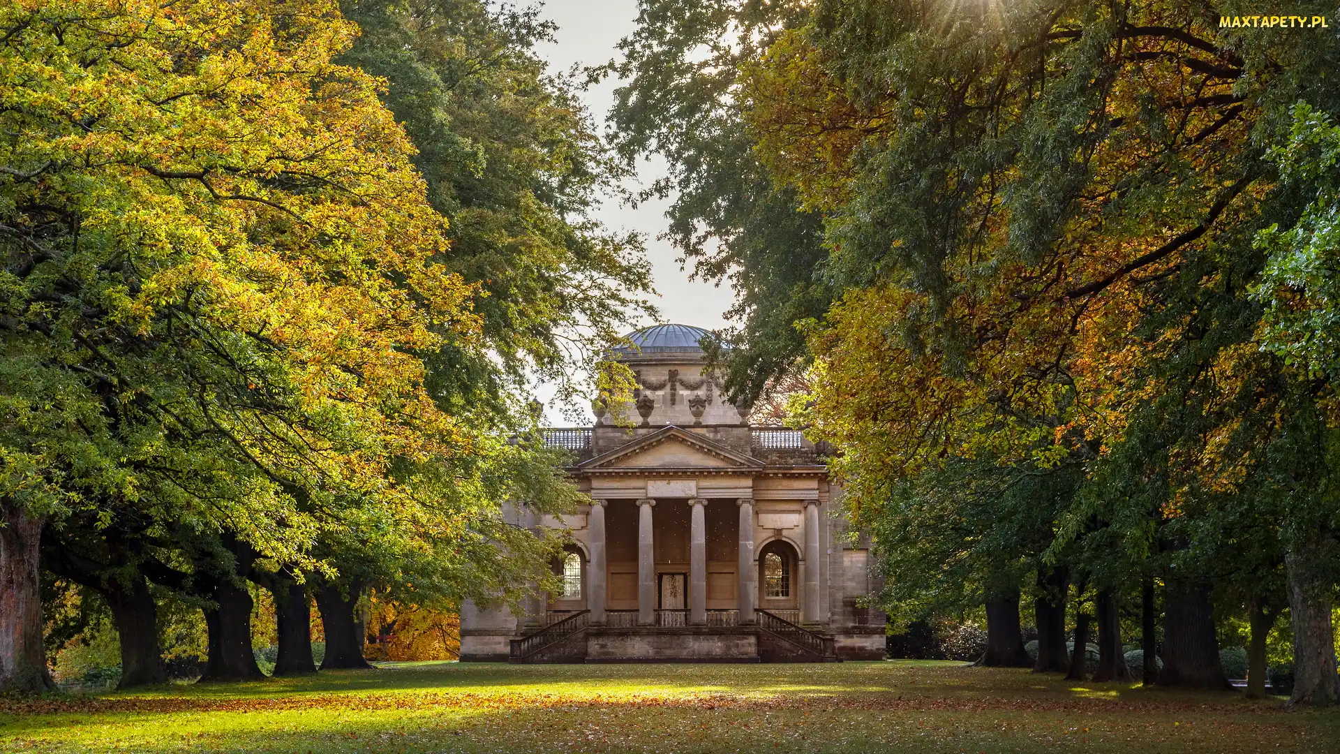 Gibside Chapel, Anglia, Aleja, Drzewa, Kościół