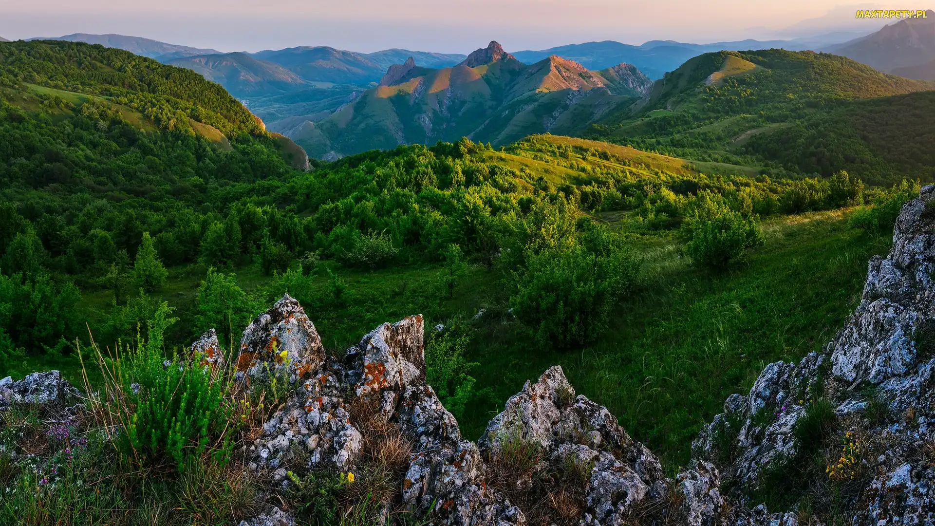 Zelenogorje, Roślinność, Skały, Góry Krymskie, Krym