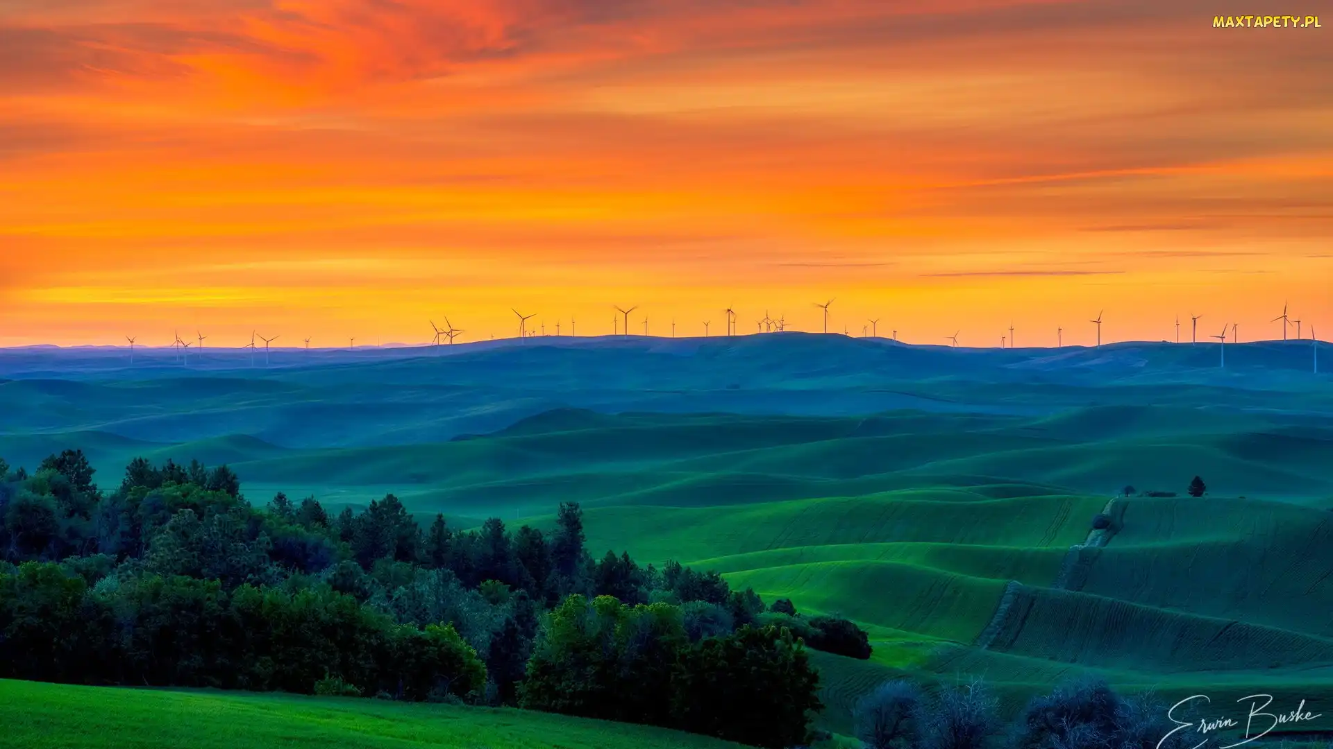 Wzgórza, Stan Waszyngton, Zachód słońca, Stany Zjednoczone, Region Palouse, Pola, Wiatraki, Drzewa, Łąki