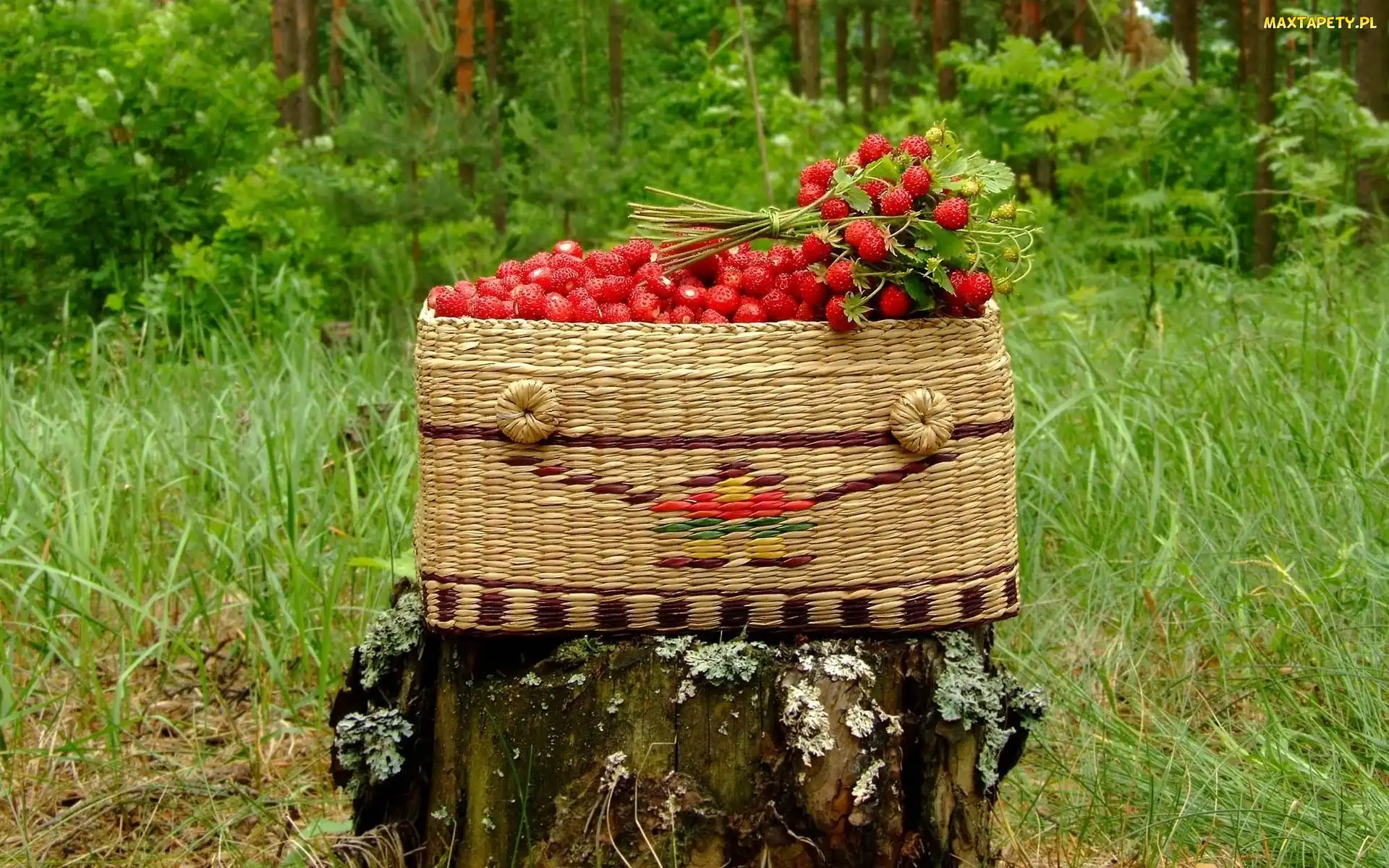 Wiklinowy, Poziomki, Owoce, Kosz, Pień