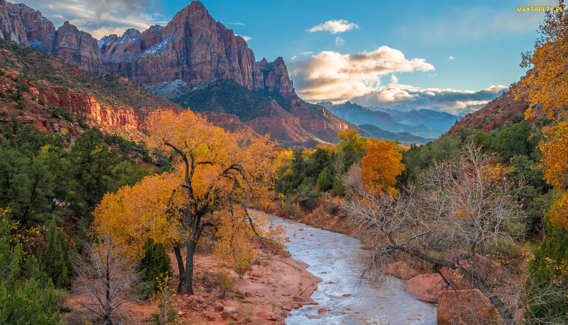 Stany Zjednoczone, Drzewa, Virgin River, Jesień, Kamienie, Rzeka, Stan Utah, Park Narodowy Zion, Góry Watchman