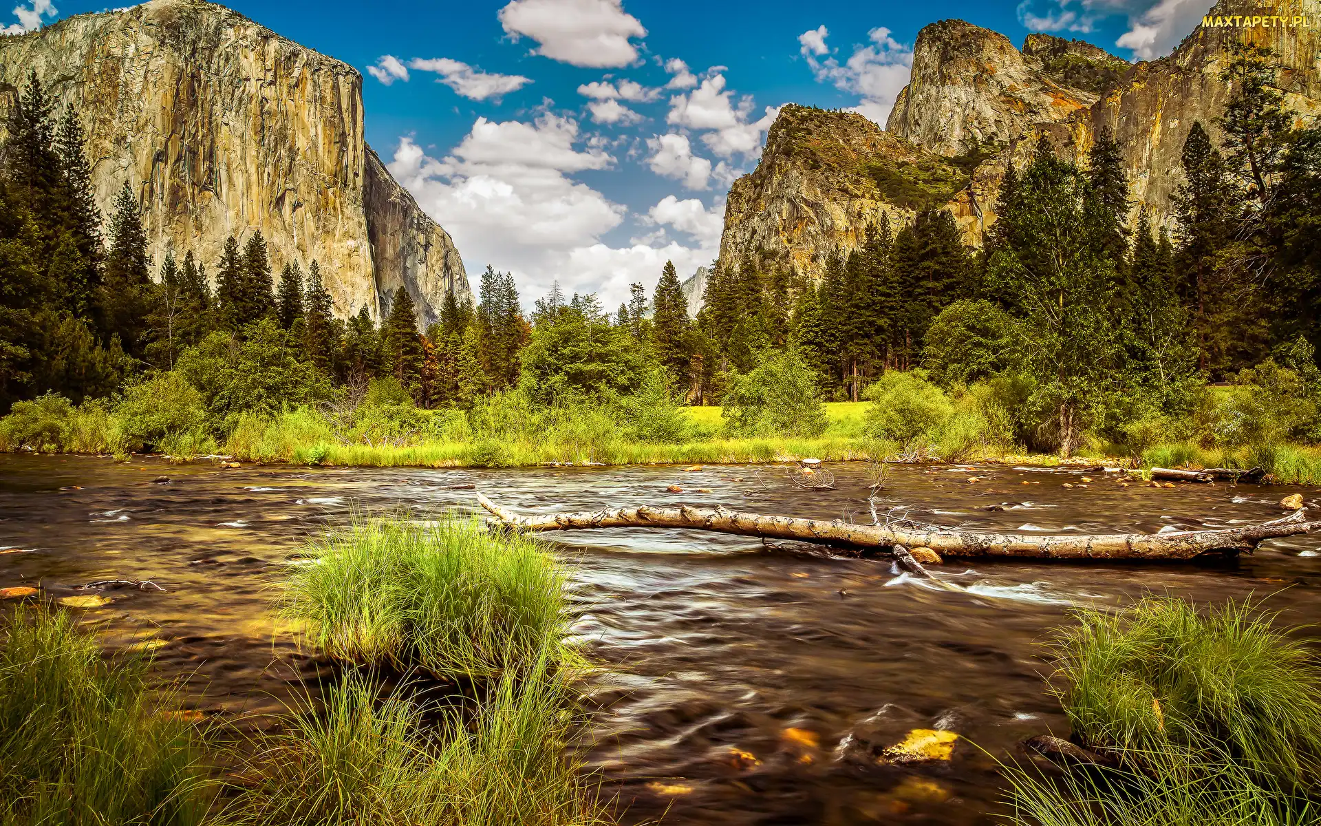 Park Narodowy Yosemite, Kalifornia, Chmury, Sierra Nevada, Rzeka, Kamienie, Trawa, Drzewa, Szuwary, Merced River, Góry, Stany Zjednoczone, Krzaki
