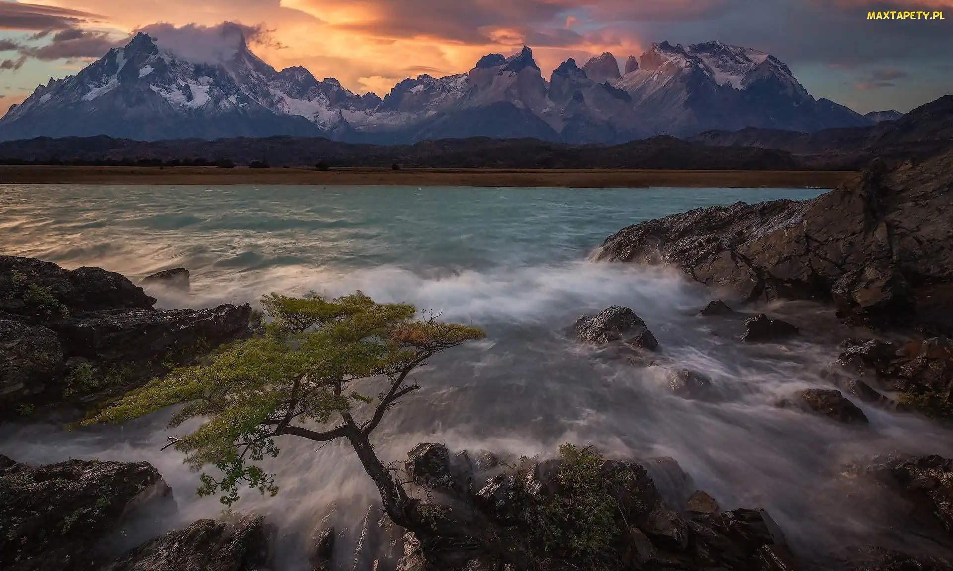 Chile, Park Narodowy Torres del Paine, Drzewo, Patagonia, Cordillera del Paine, Góry, Jezioro, Pehoe Lake, Wschód słońca, Skały
