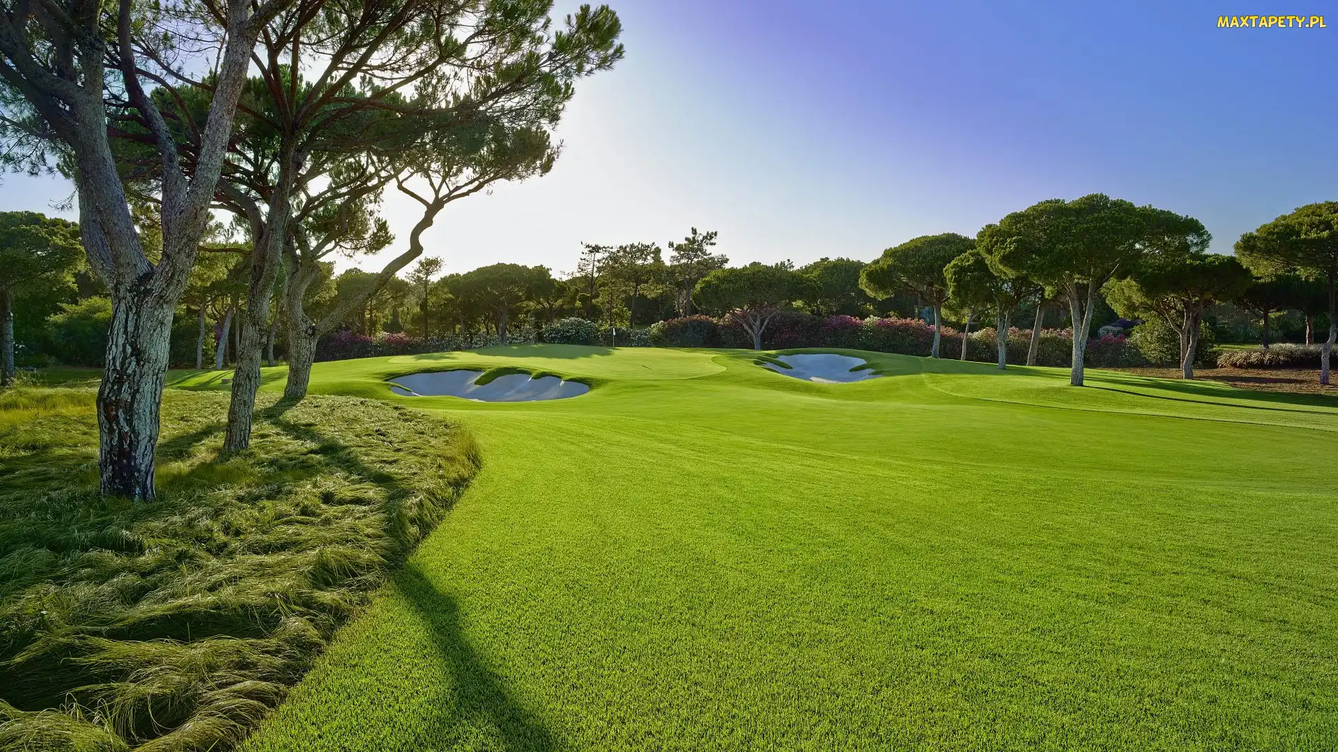 Pole golfowe, Drzewa, Portugalia, Quinta do Lago, Almancil, Hotel