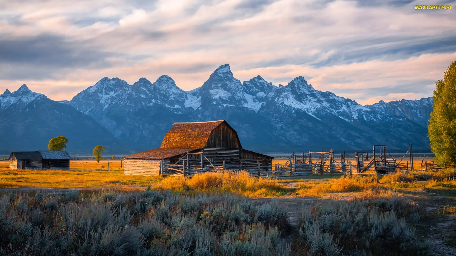 Drewniana, Drzewa, Stodoła, Góry Teton Range, Stan Wyoming, Chata, Stany Zjednoczone, Park Narodowy Grand Teton