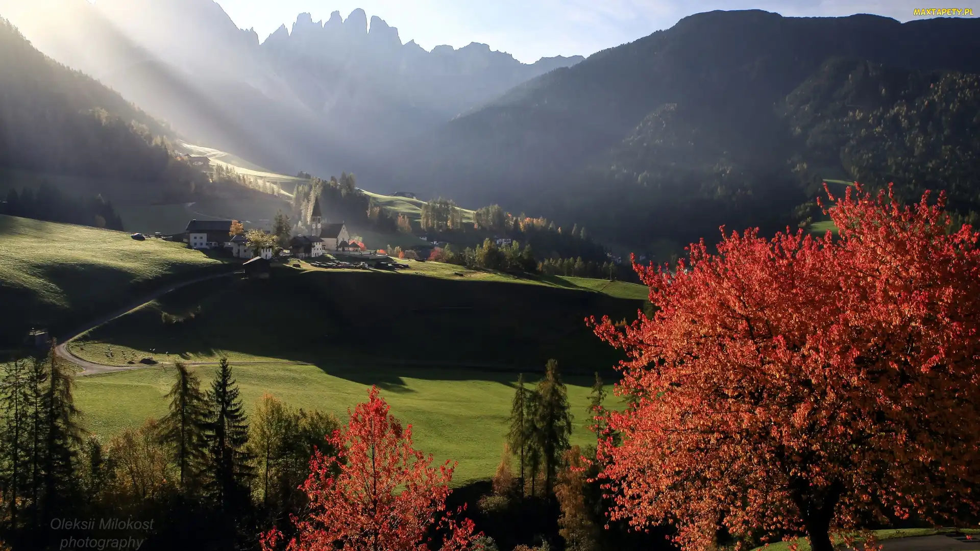 Drzewa, Kościół, Masyw Odle, Lasy, Dolina Val di Funes, Dolomity, Wieś, Santa Maddalena, Włochy, Góry