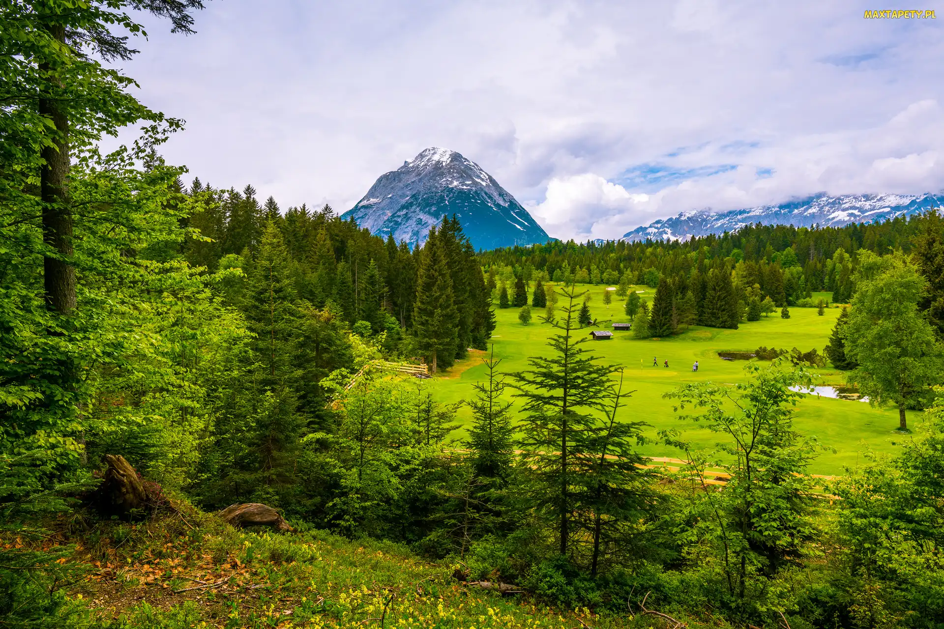 Lasy, Łąki, Tyrol, Drzewa, Góry Alpy, Austria, Gmina Telfs