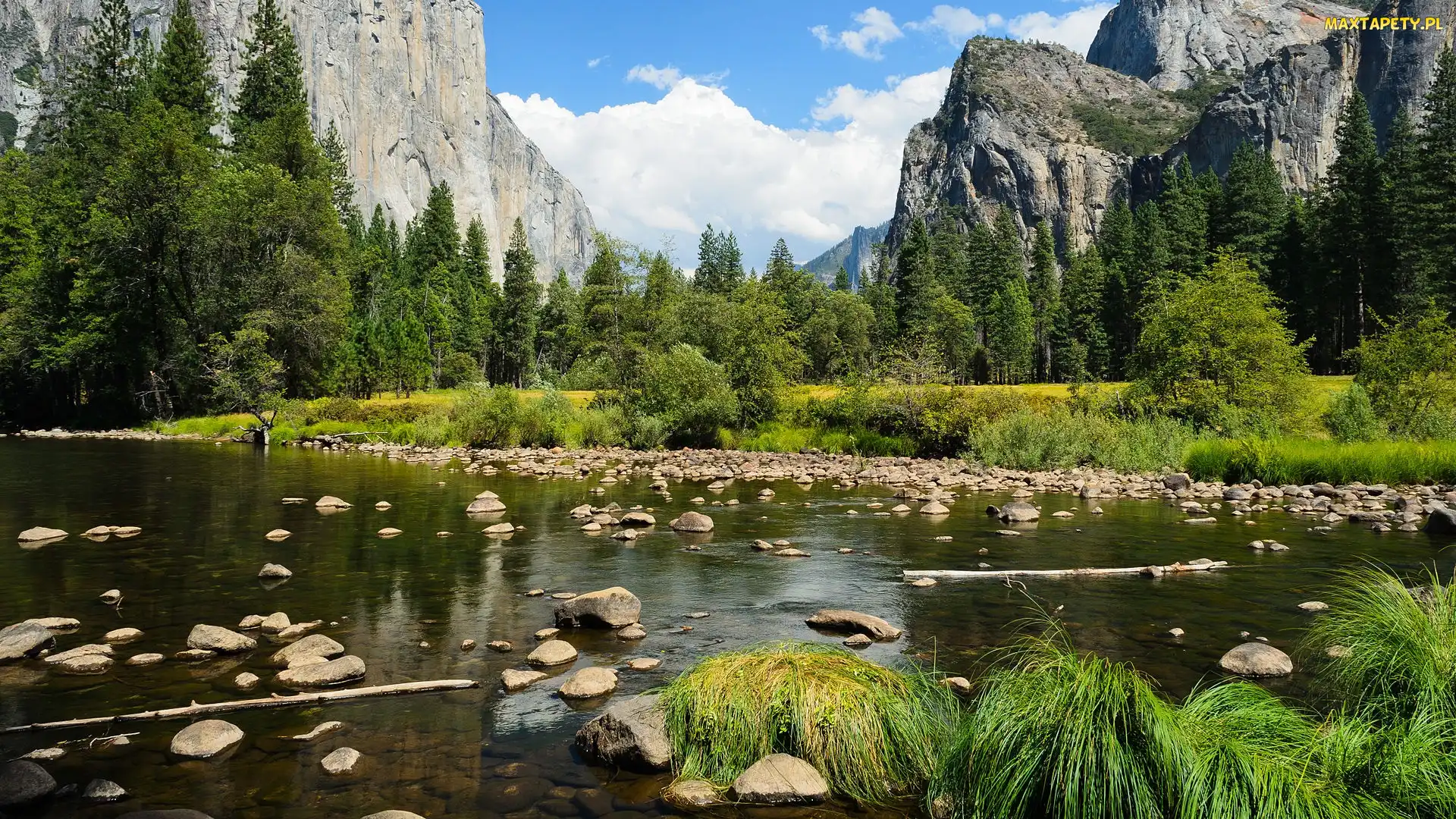 Stany Zjednoczone, Park Narodowy Yosemite, Trawa, Stan Kalifornia, Rzeka, Sierra Nevada, Merced River, Drzewa, Góry, Kamienie
