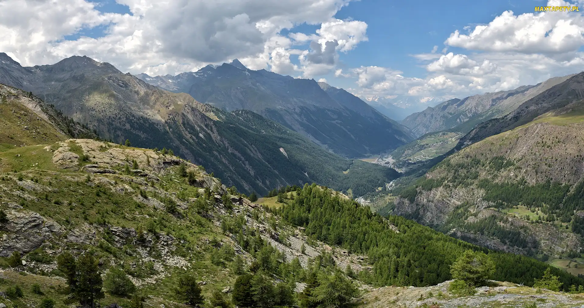 Góry, Dolina, Drzewa