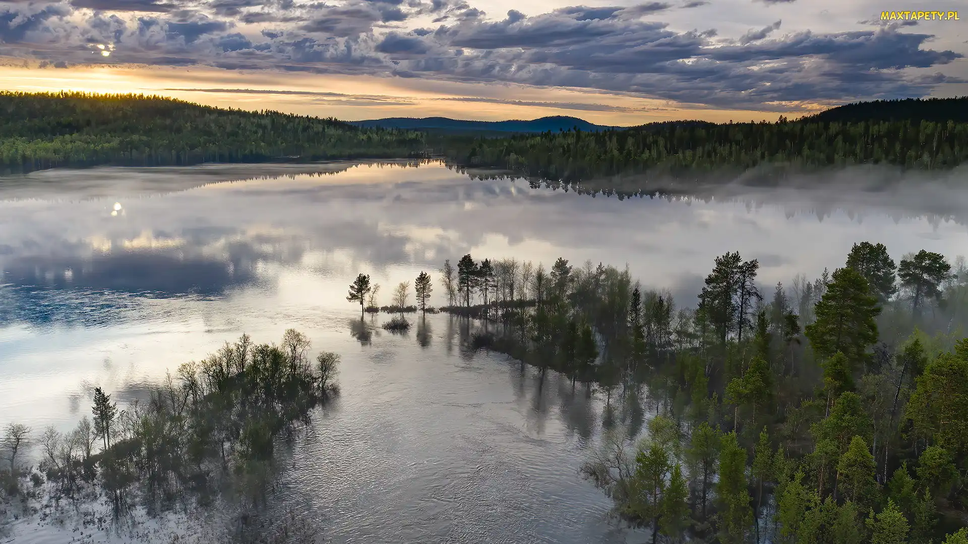 Finlandia, Laponia, Lasy, Jezioro Inari, Drzewa, Mgła
