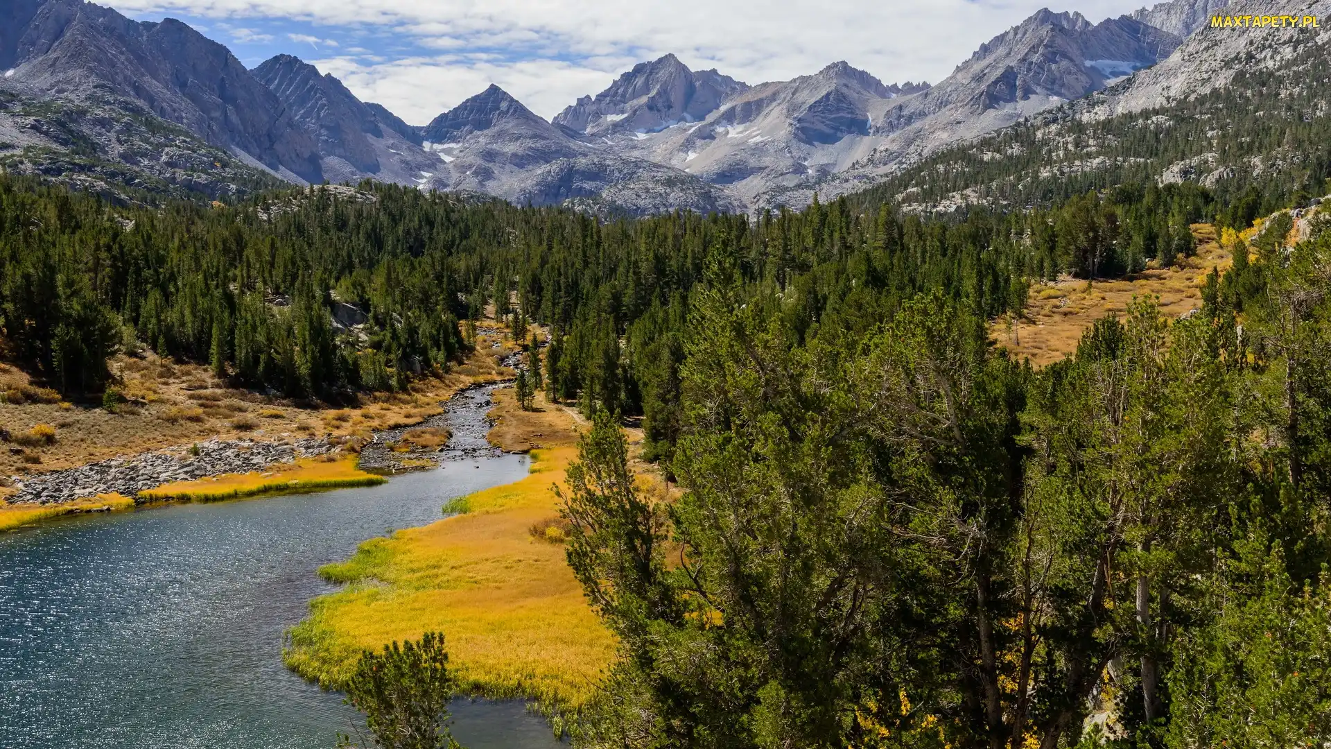Góry, Stan Kalifornia, Lasy, Stany Zjednoczone, Eastern Sierra, Drzewa, Sierra Nevada, Rzeka, Rock Creek
