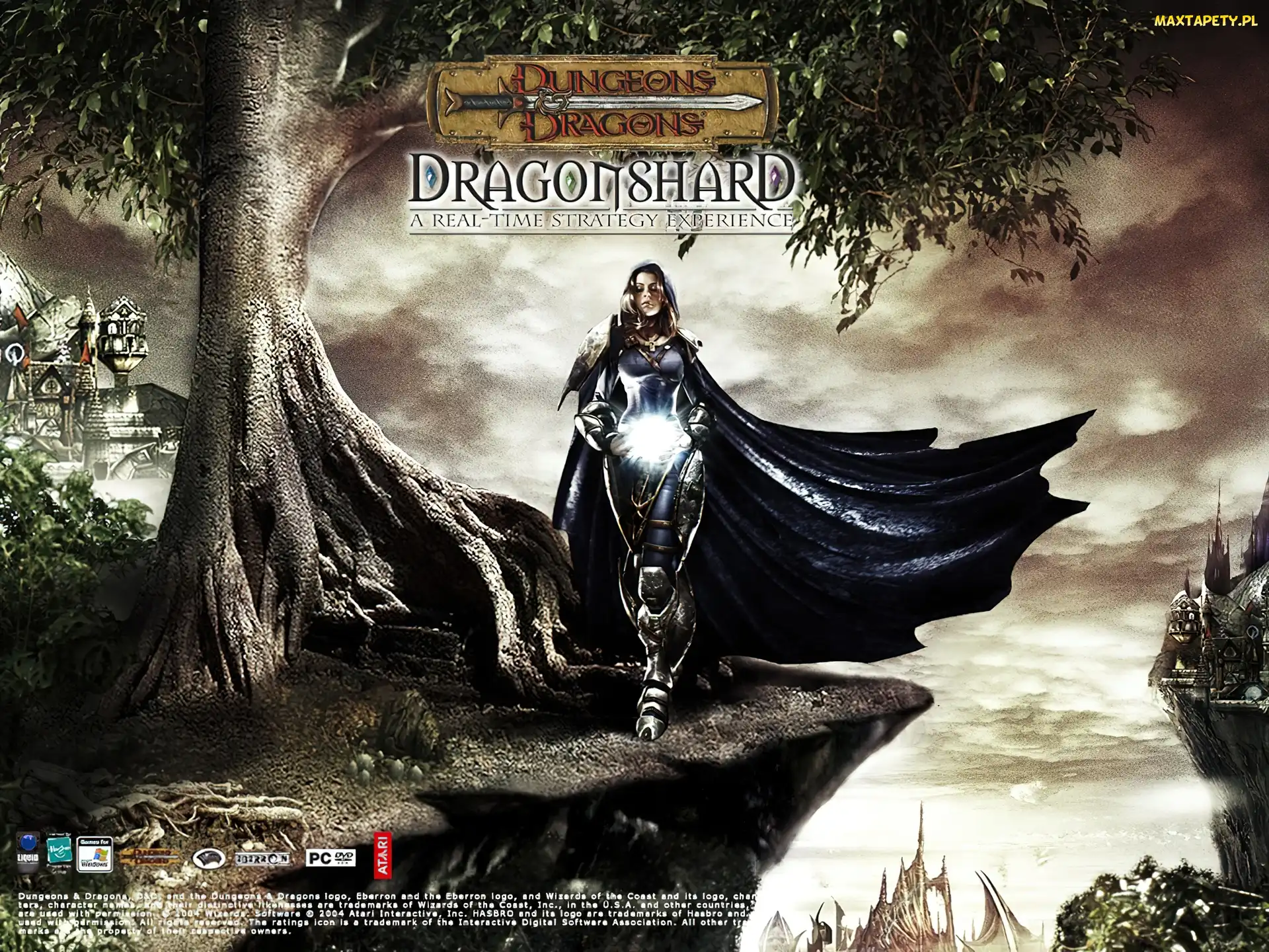 drzewo, zamek, postać, Dragonshard, kobieta, peleryna